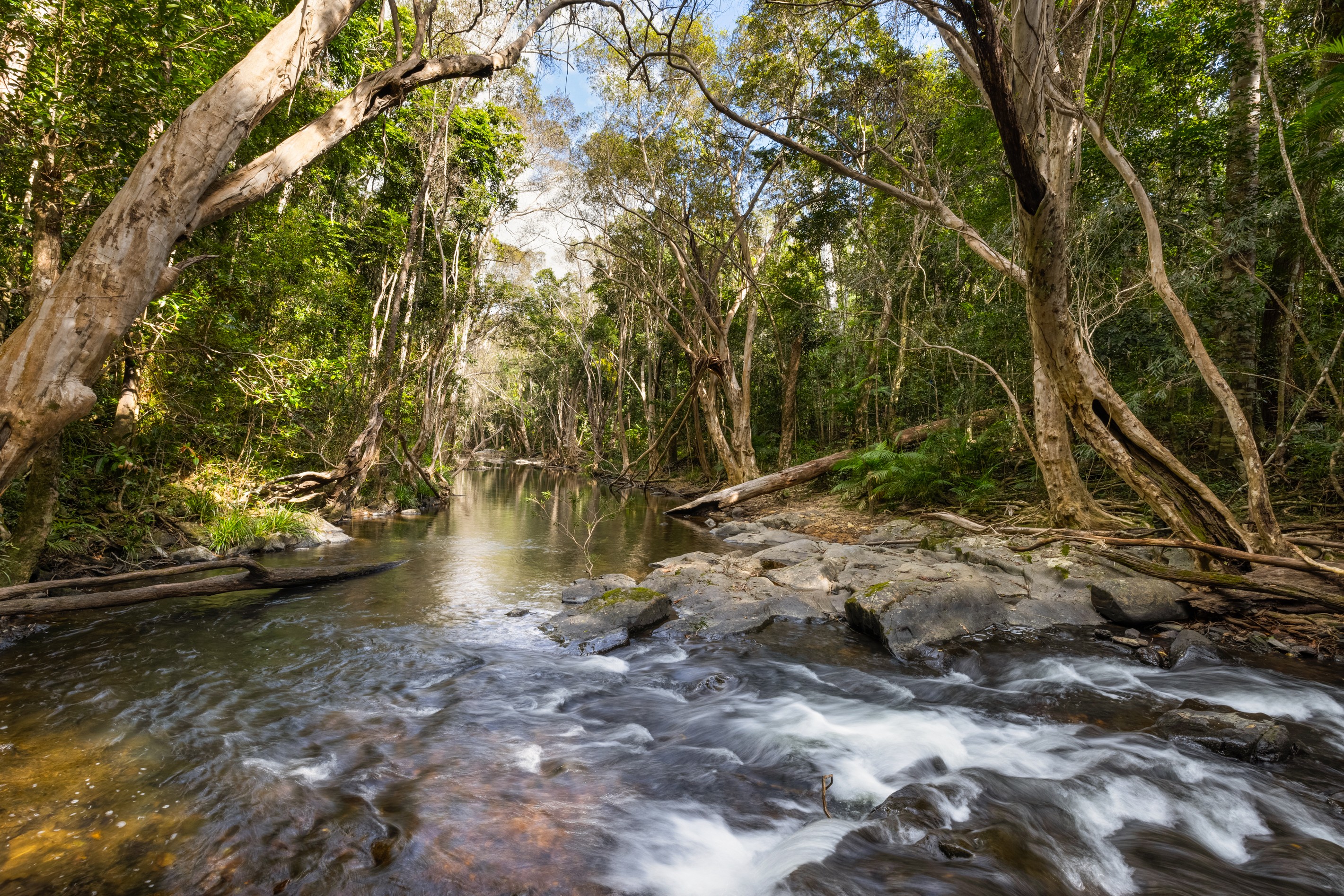 39 Forest Close, Speewah, QLD 4881