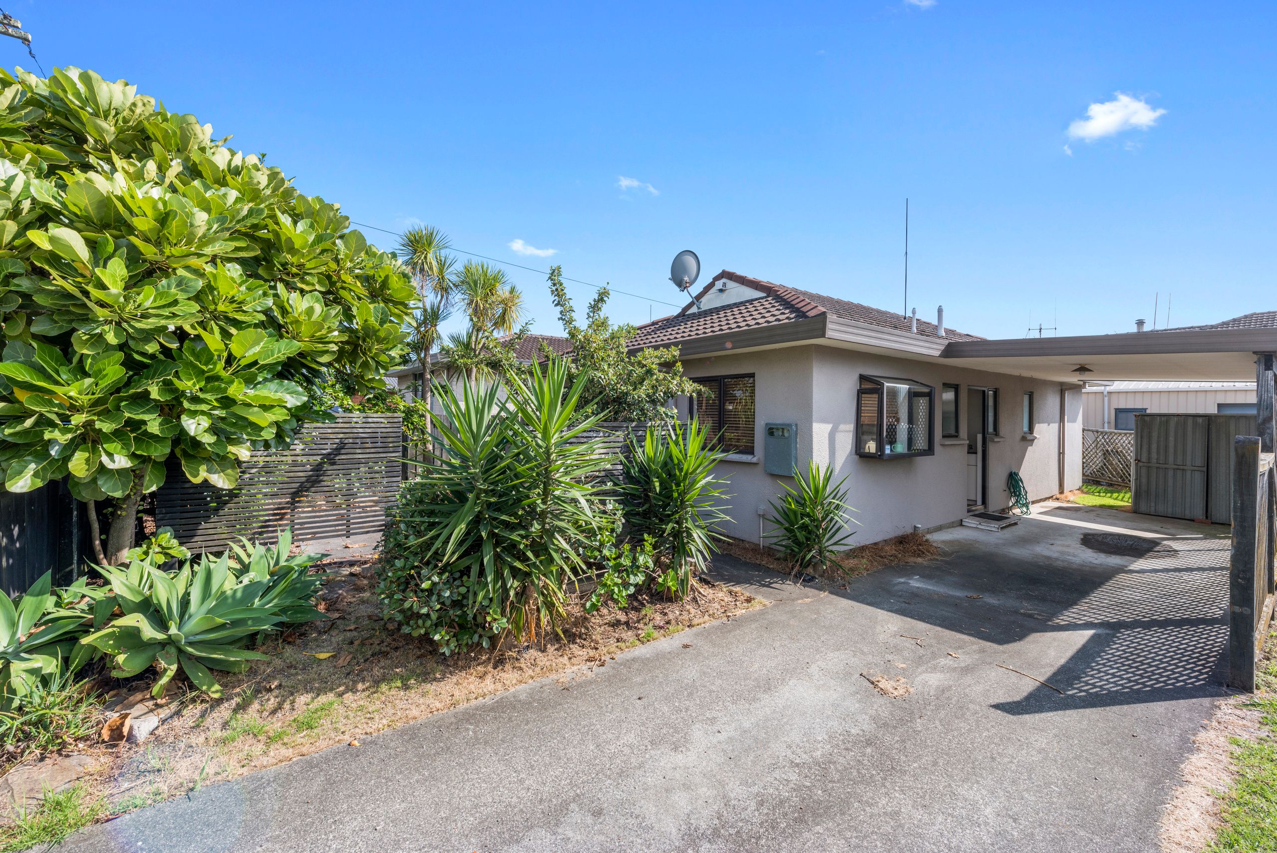 25A Macville Road, Mt Maunganui, Tauranga City