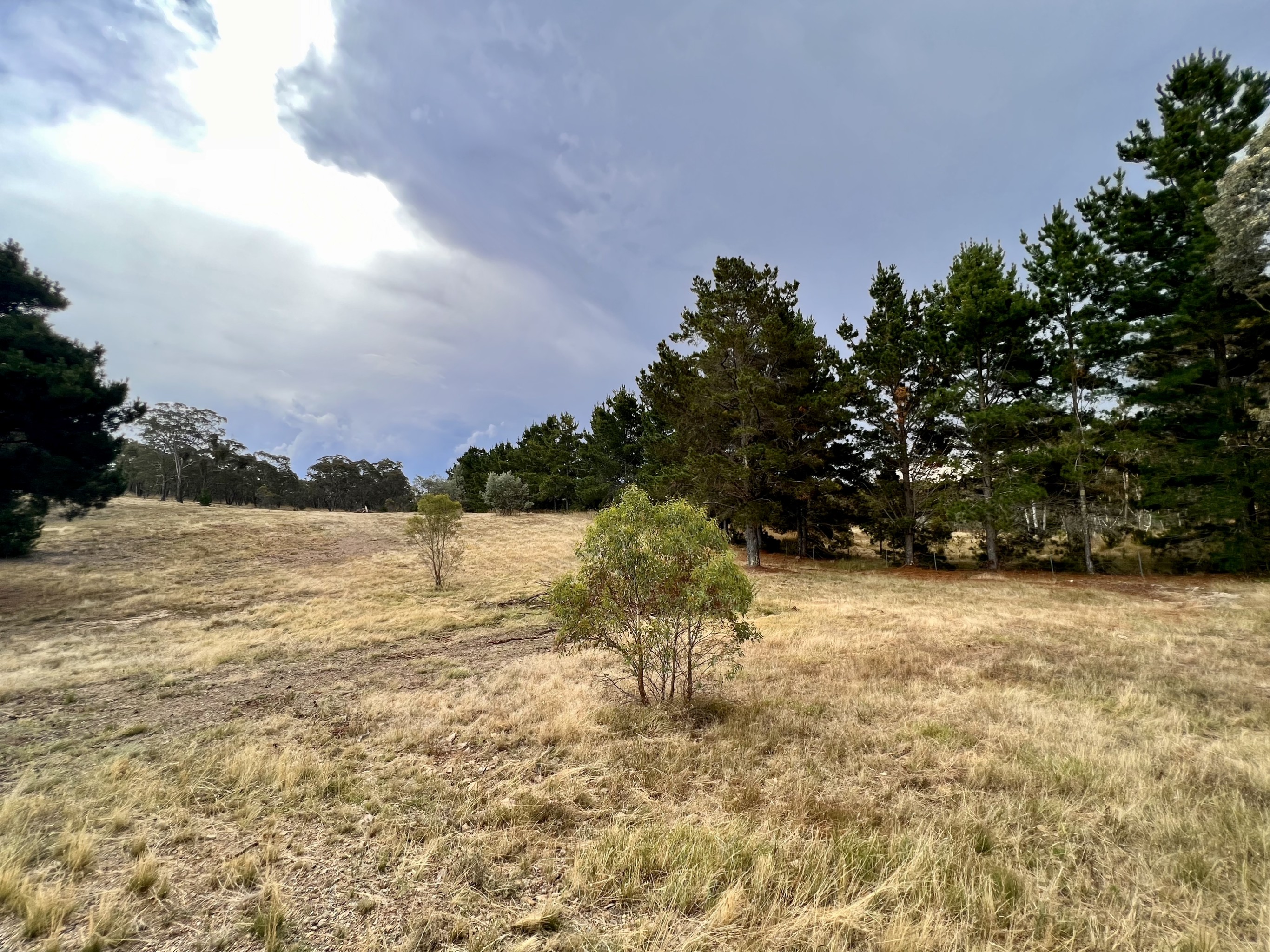 Lot 1/168 Newington Road, Bywong, NSW 2621