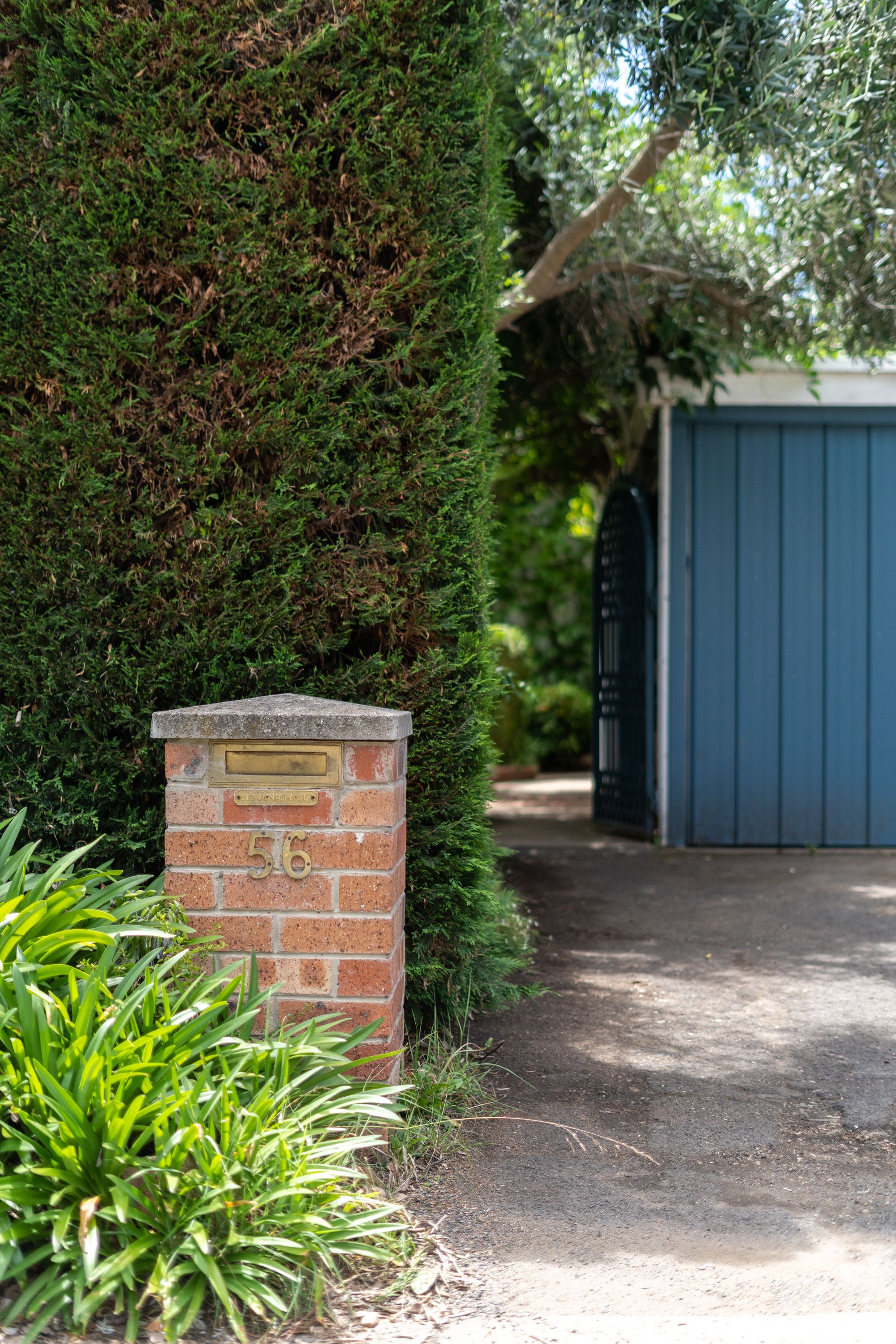 56 Carroll Street, Hughes, ACT 2605