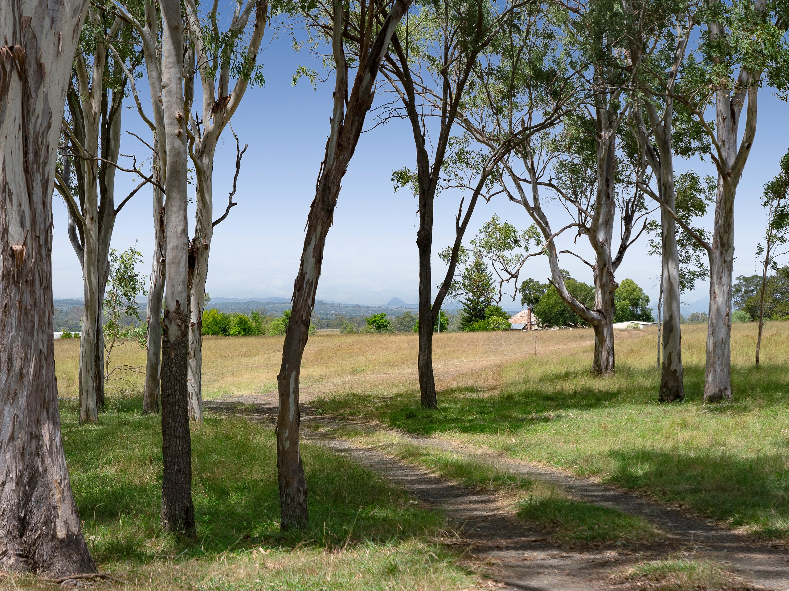 57 Coleyville Road, Mutdapilly, QLD 4307