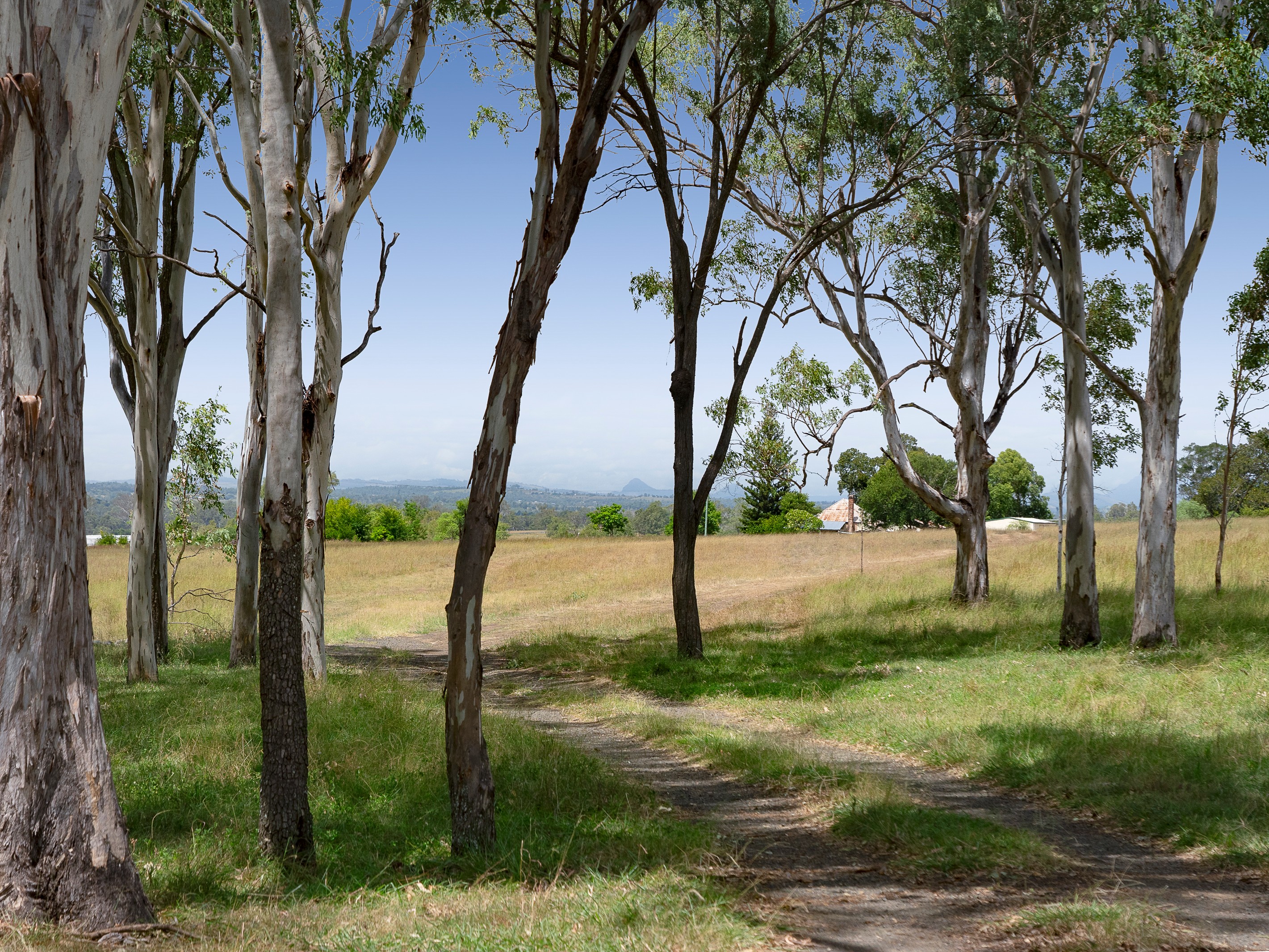 57 Coleyville Road, Mutdapilly, QLD 4307