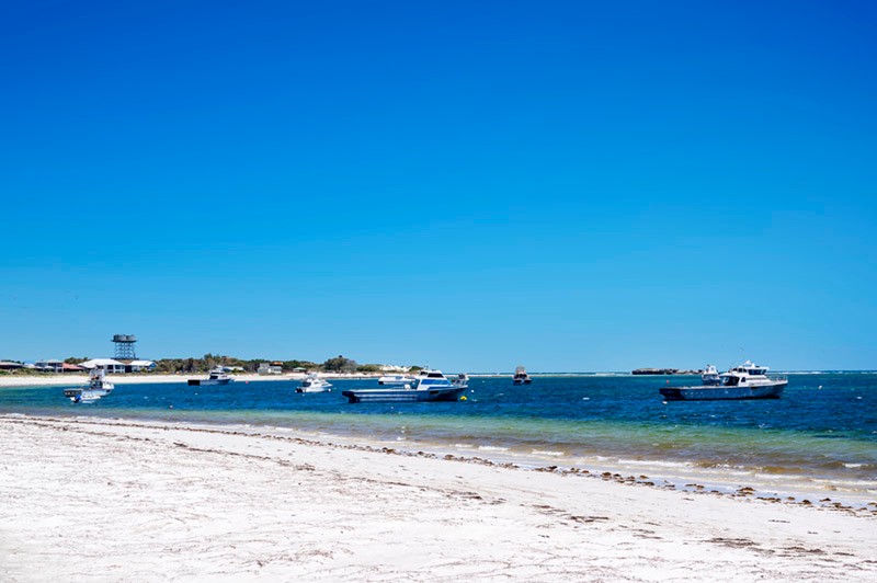 12/6 Cray Street, Lancelin, WA 6044