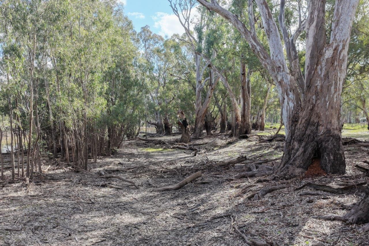 Lot 16 Hay St (otherwise known as Nomore Rd) — photo 11 of 11