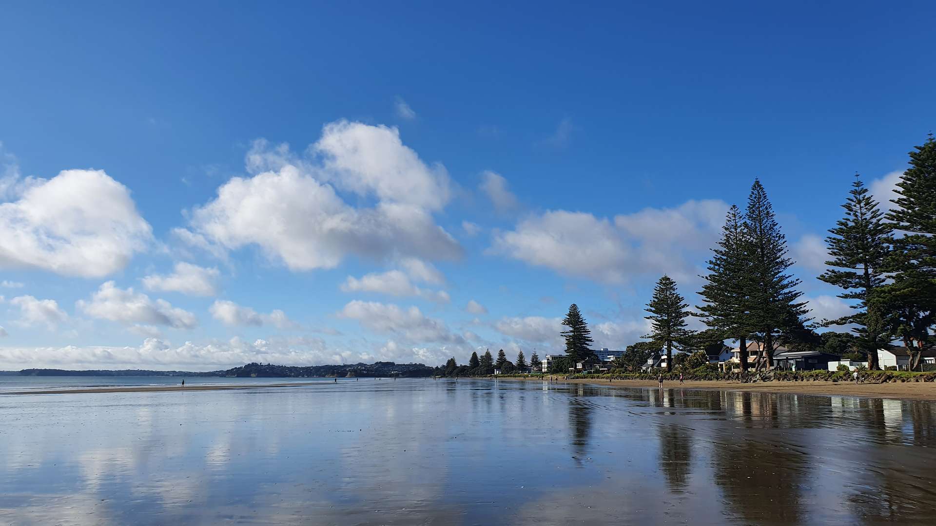 Lot 3/8 Moenui Avenue photo 26