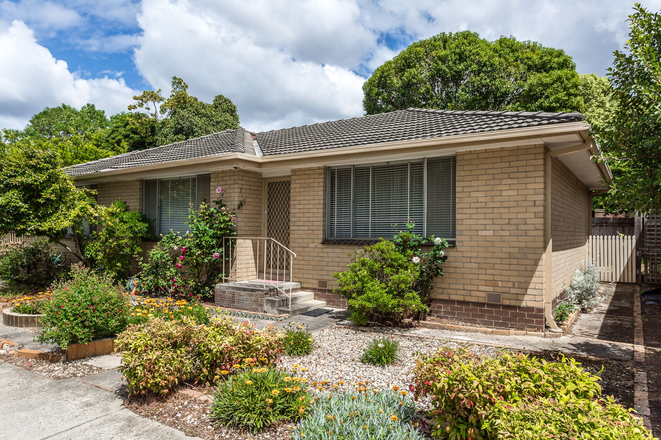 24 Harrison Street, Mitcham VIC 3132