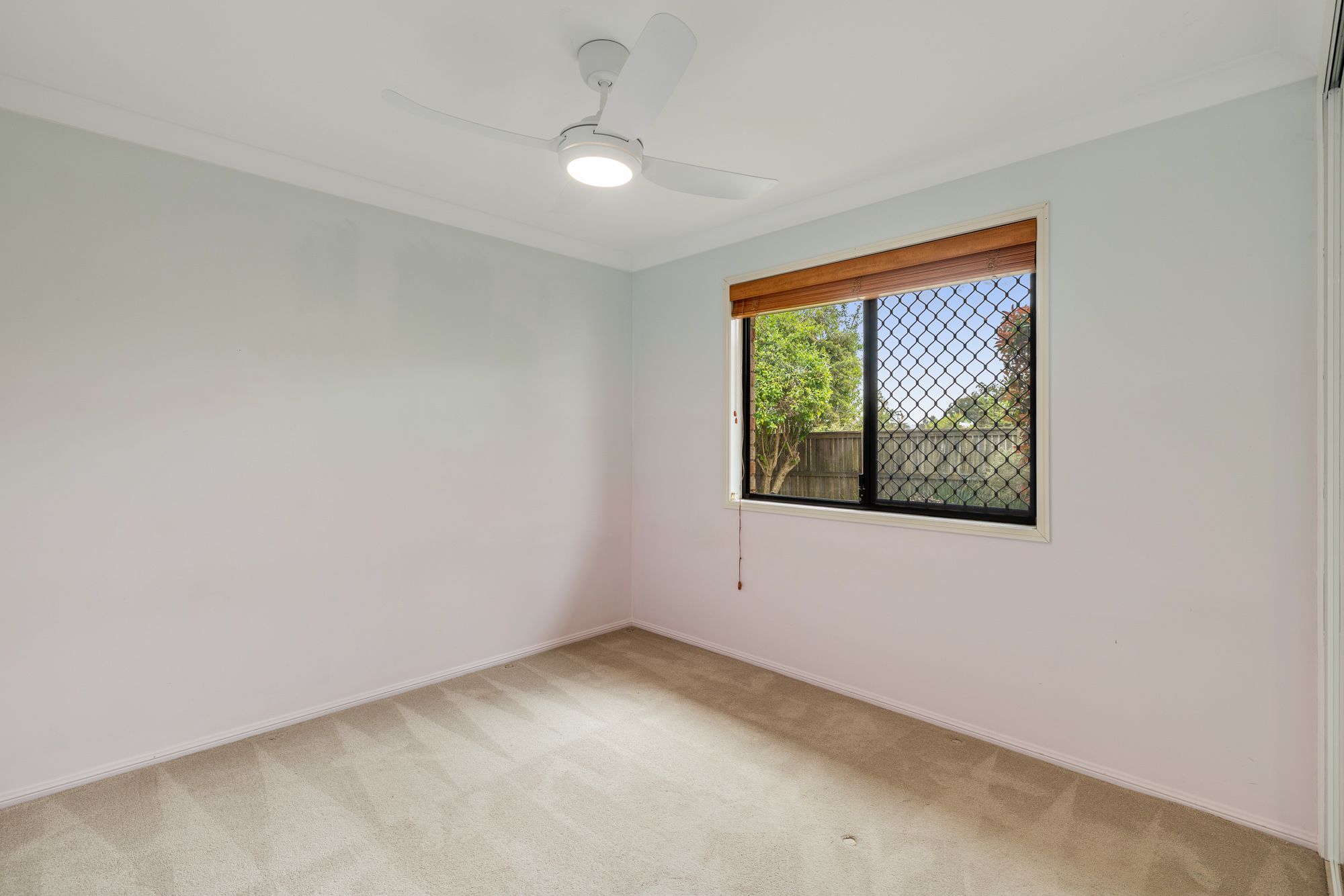 23 Corella Street — photo 14 of 25