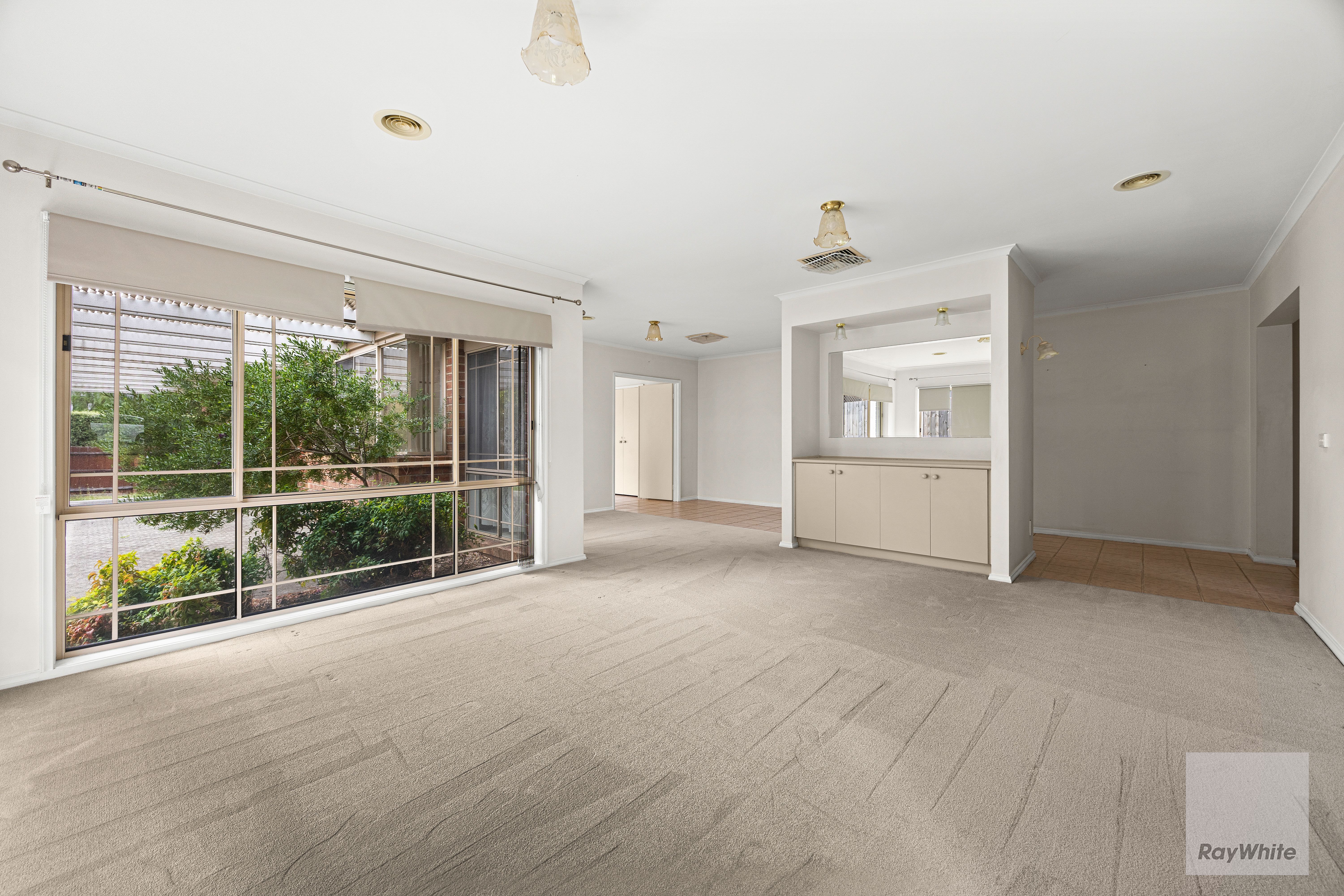 166 Blossom Park Drive, Mill Park, VIC 3082