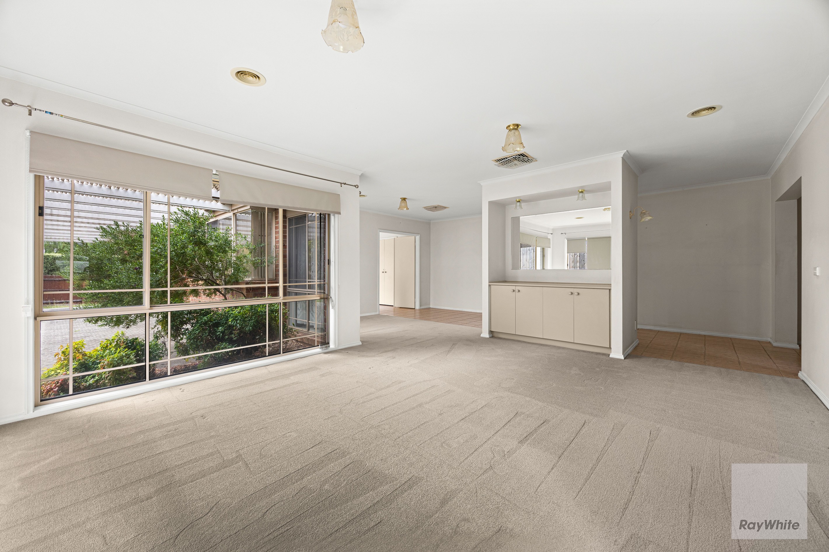 166 Blossom Park Drive, Mill Park, VIC 3082