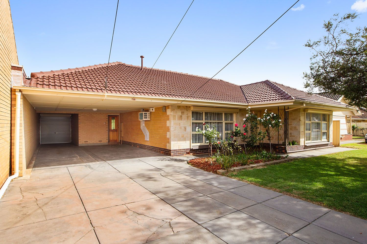 5 Grant Avenue, Lockleys, SA 5032