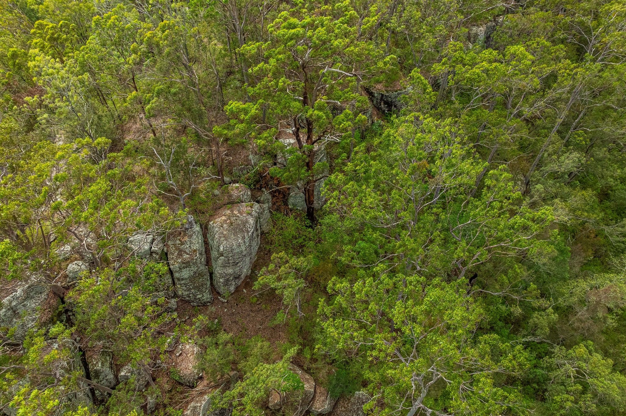 Lot 80 Tabulam Road — photo 10 of 10