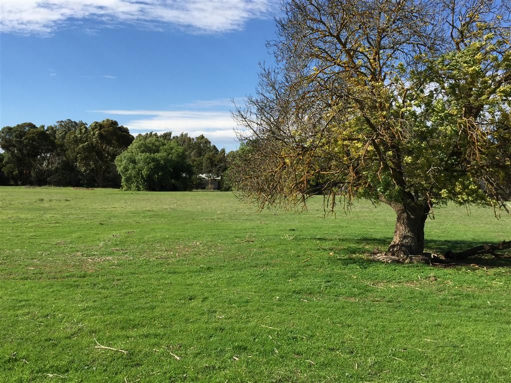 Lot 623 Saddleworth Road, Auburn, SA 5451