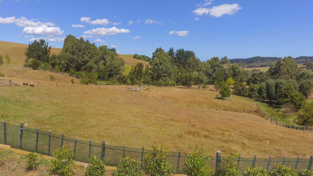 2992 Kaipara Coast Highway, Glorit, Rodney Real Estate Ray White