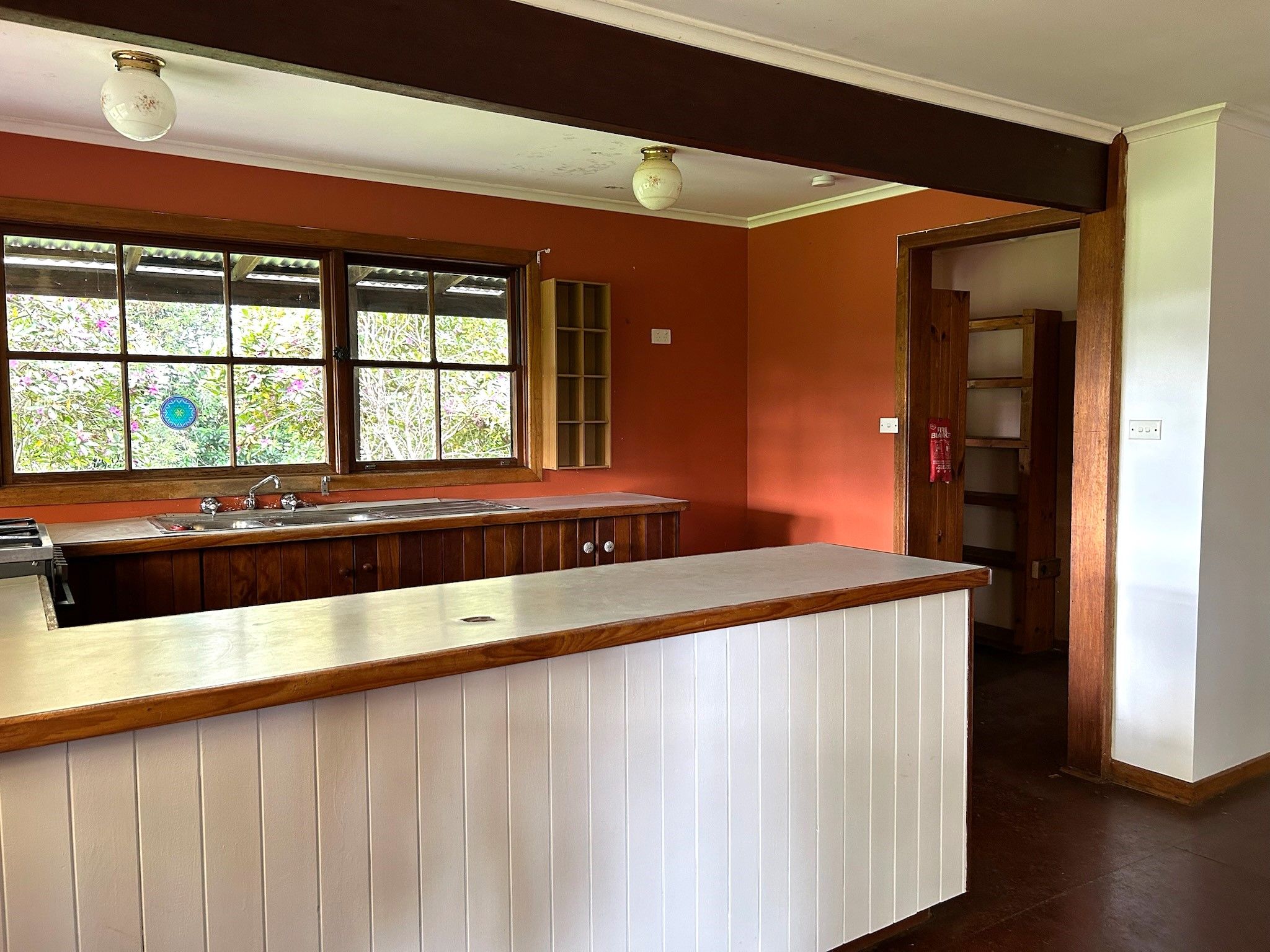 54 Hayden Street, North Dorrigo, NSW 2453