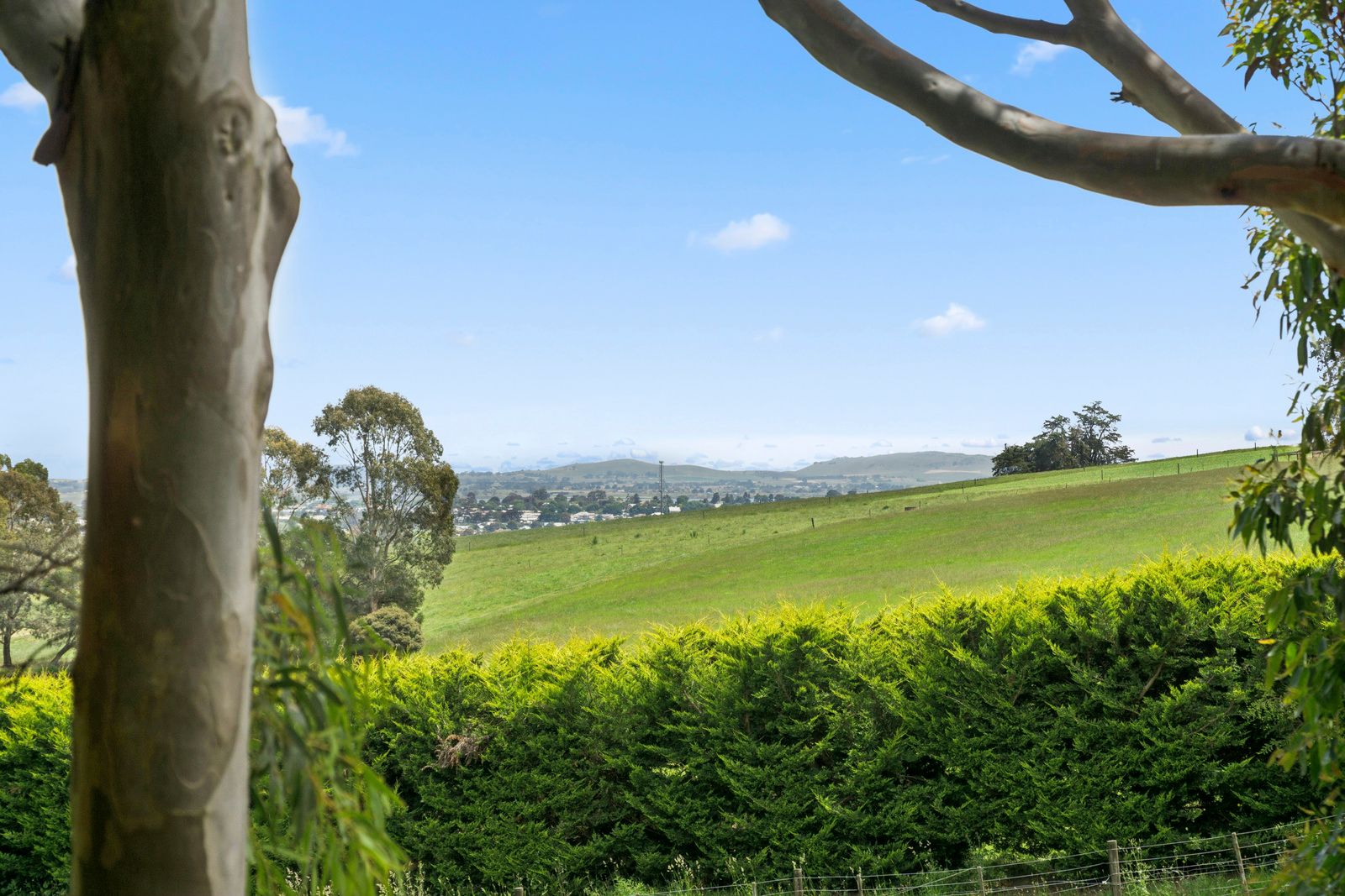 220 Woodrowvale Road, Elliminyt, VIC 3250