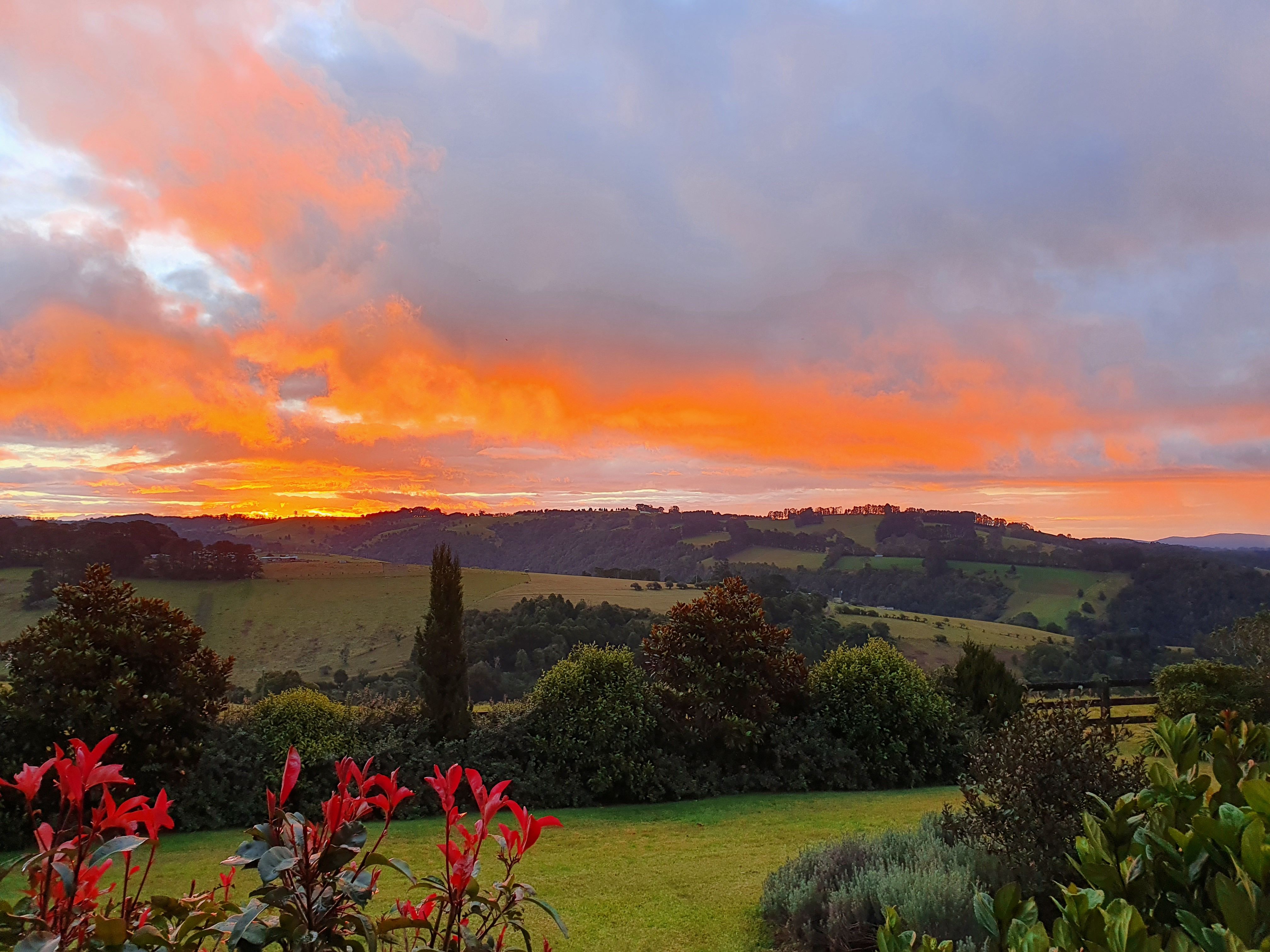 5518 Waterfall Way, Fernbrook, NSW 2453 Leased House Ray White