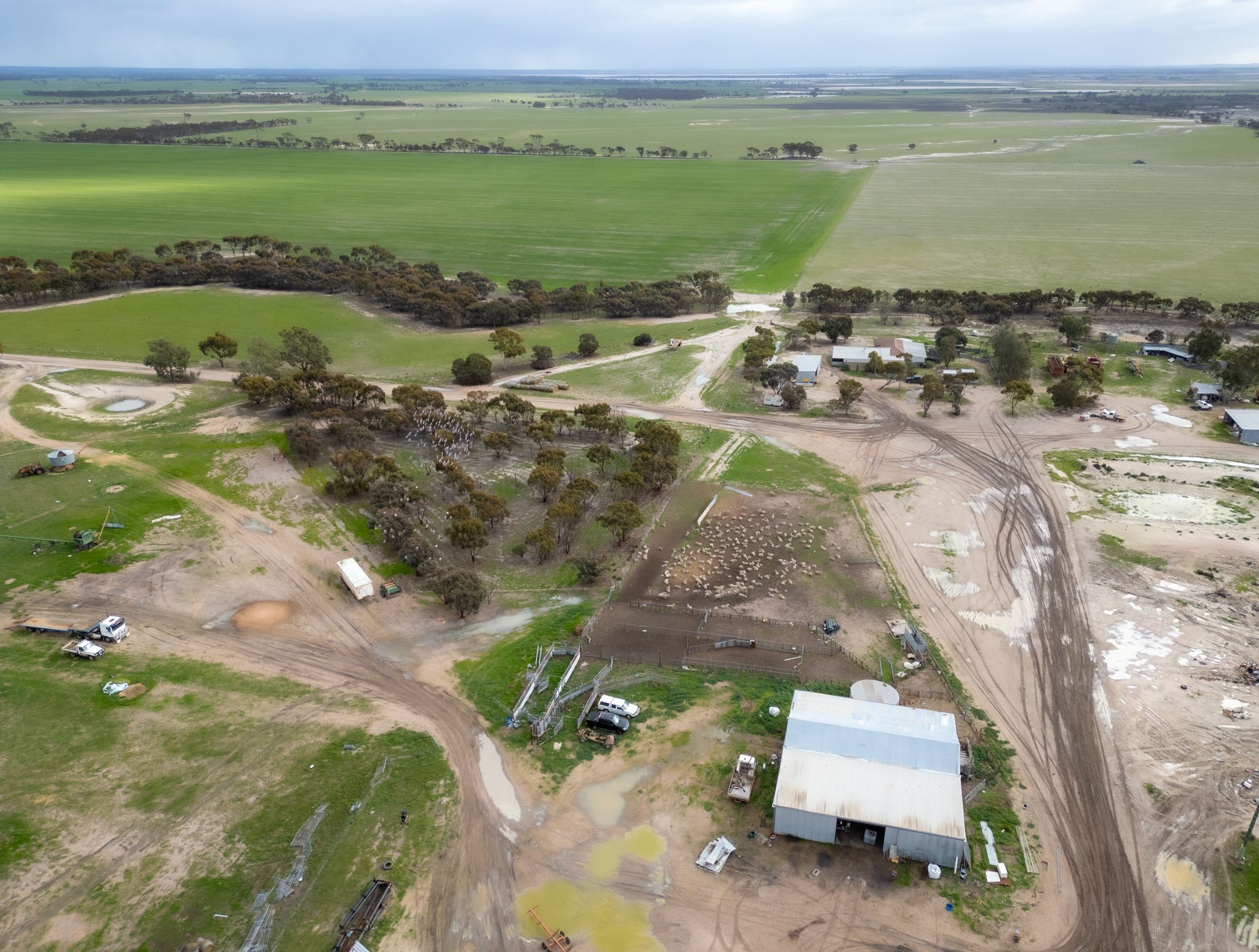 409 Dixon Road, Pingrup, WA 6343 - Sold Rural Cropping Property - Ray ...
