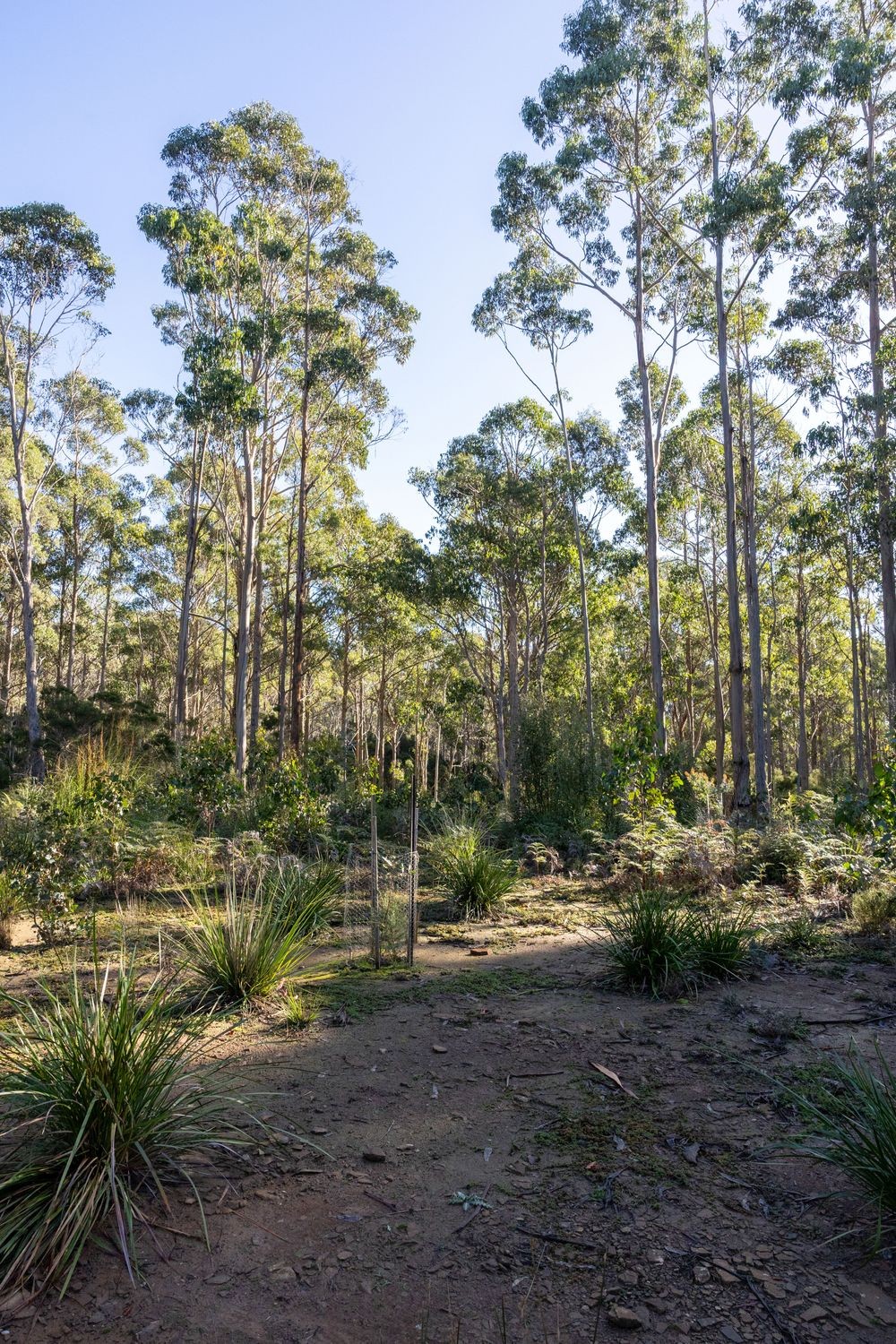 224 EAST PARKHAM Road, Weetah, TAS 7304