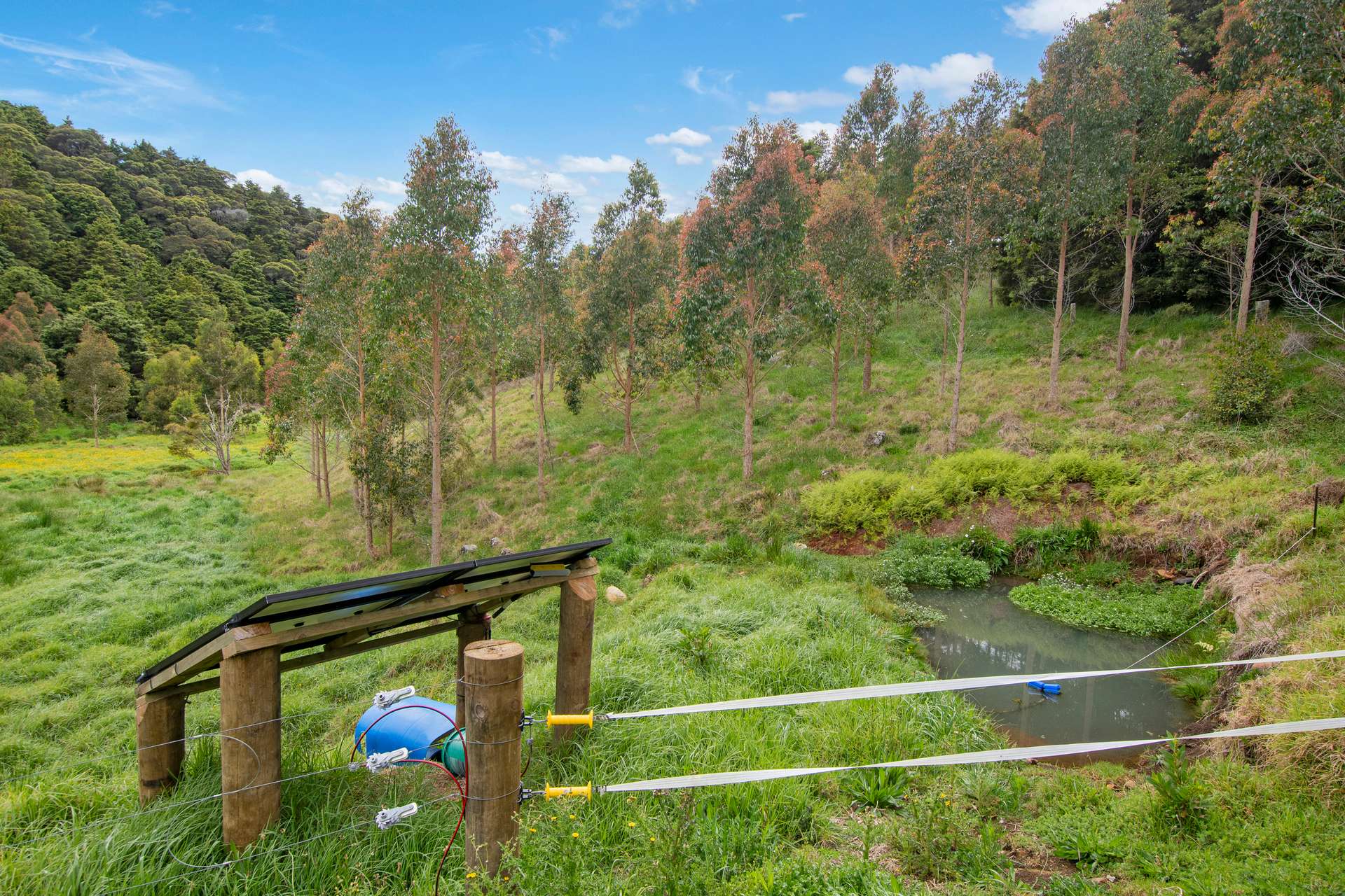 0 Russell Road Airstrip Block photo 32