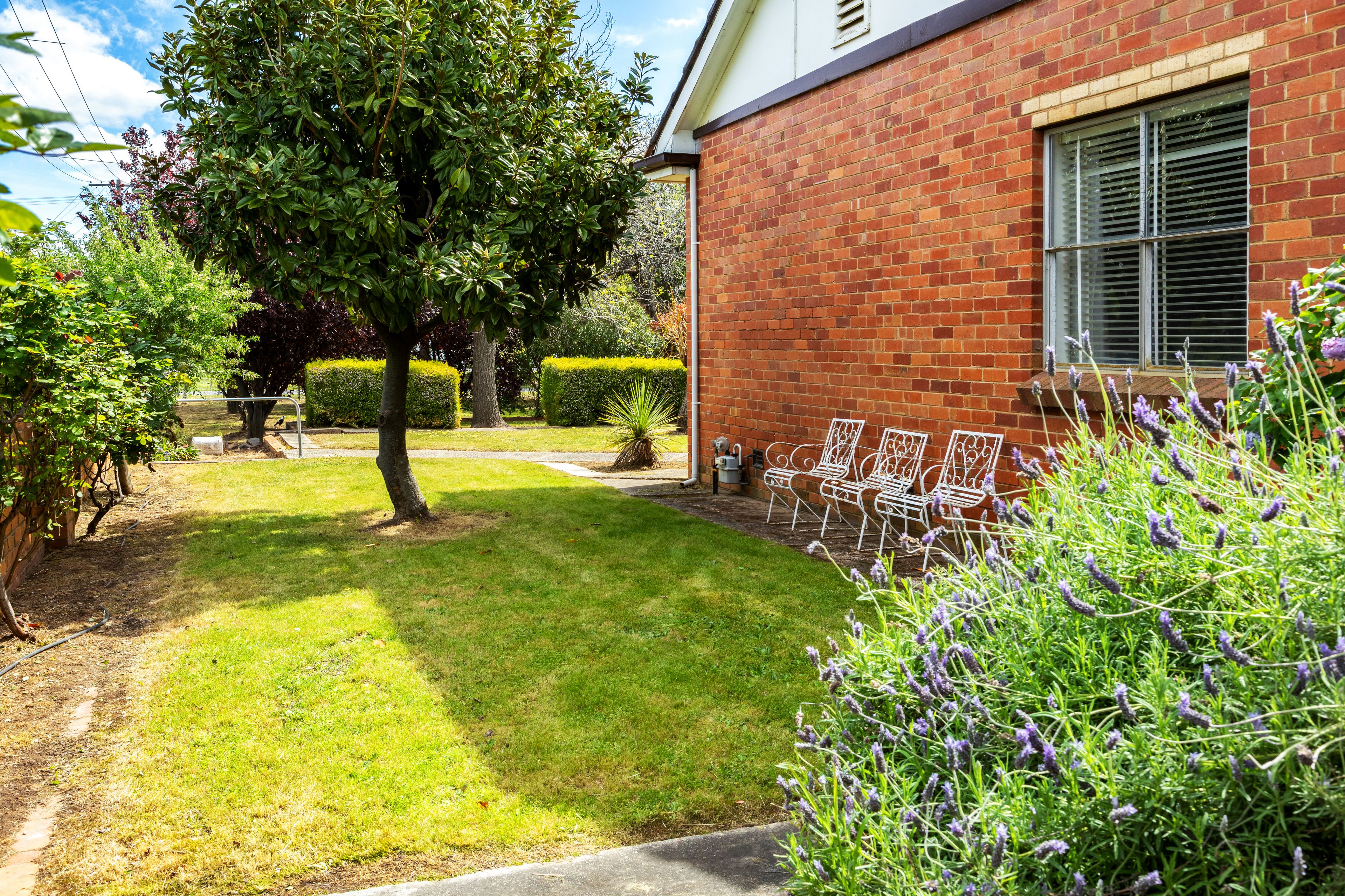 5 Astbury Street — photo 15 of 20