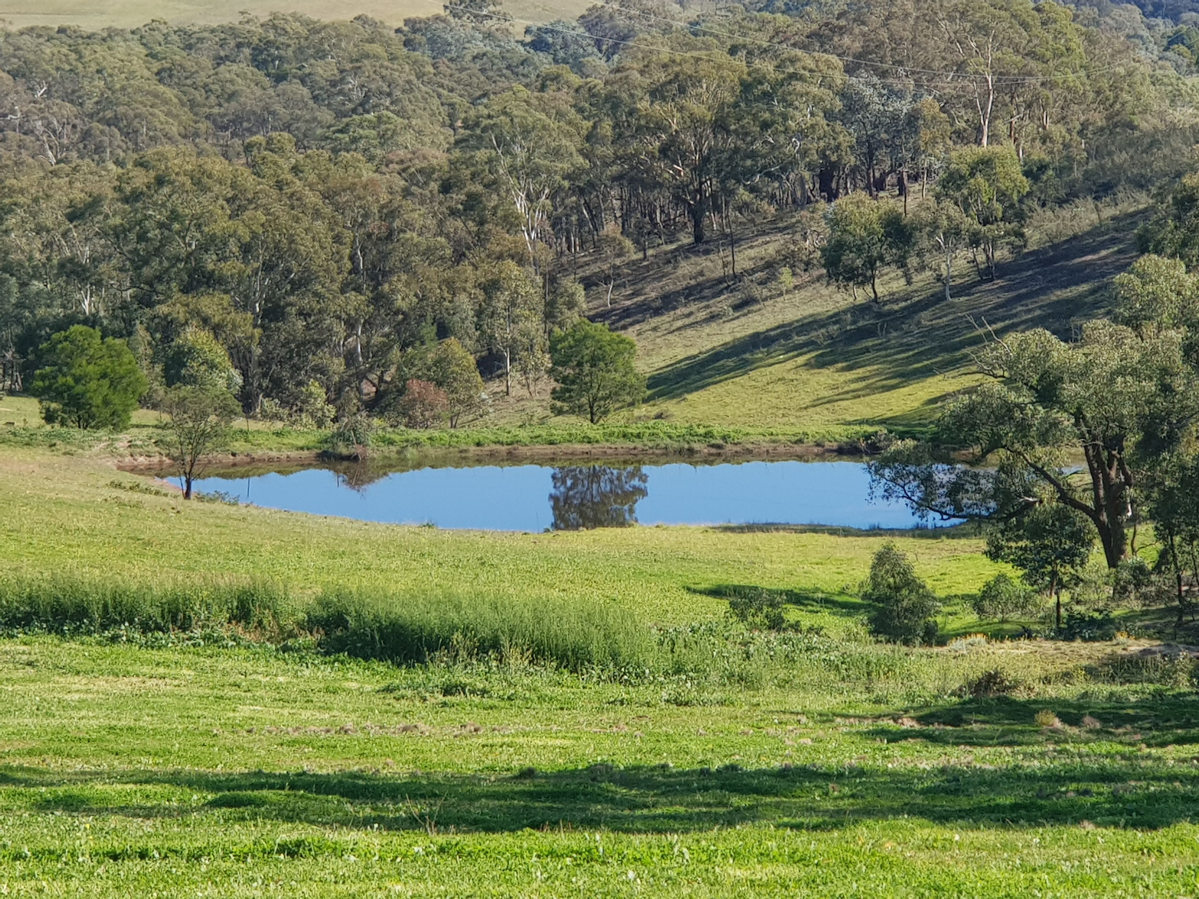 65 Emmerton Drive, Goulburn, NSW 2580