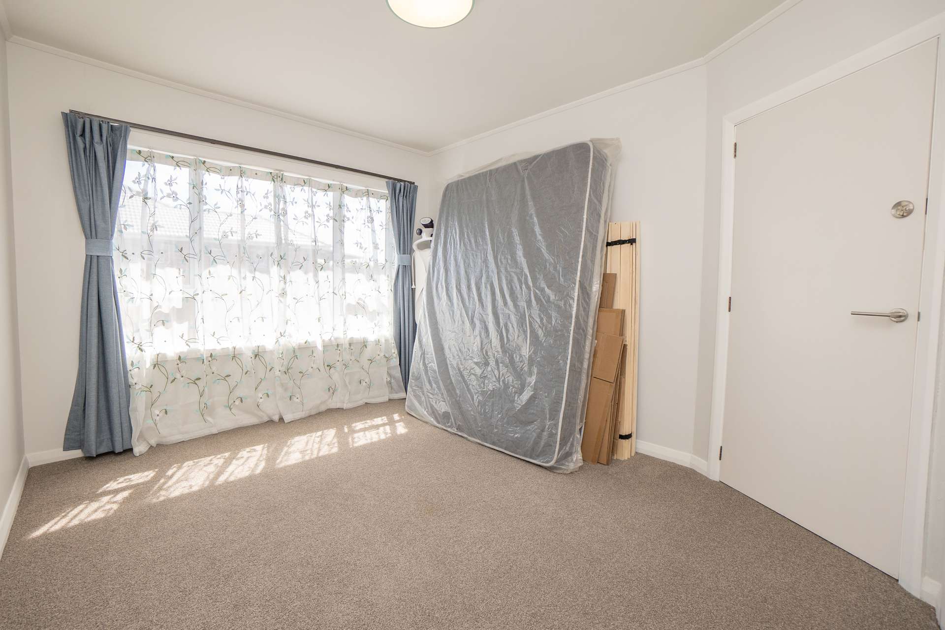 65 Rimu Street photo 8