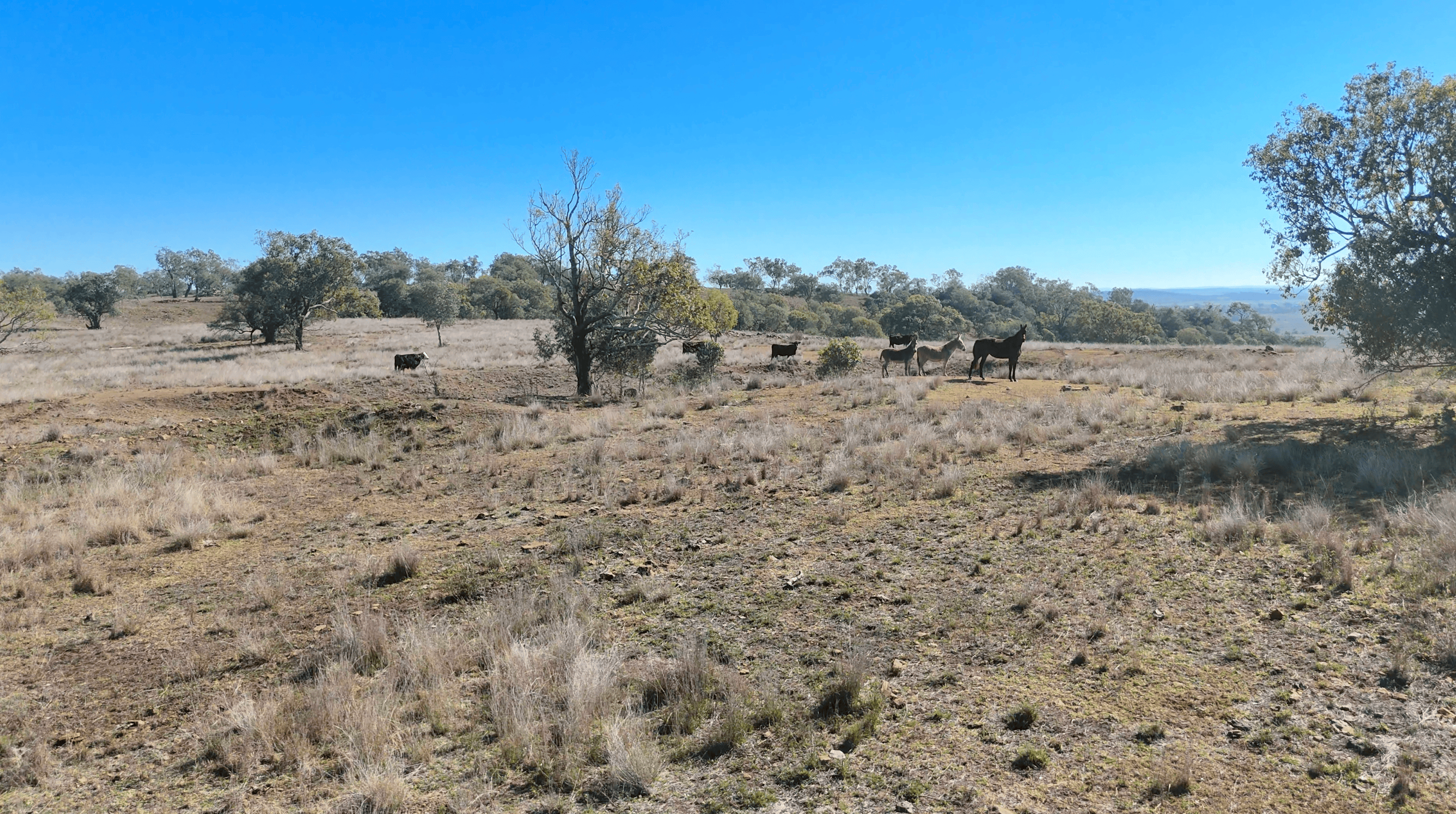 "Mountain Glen" Oakey Pittsworth Road — photo 28 of 30