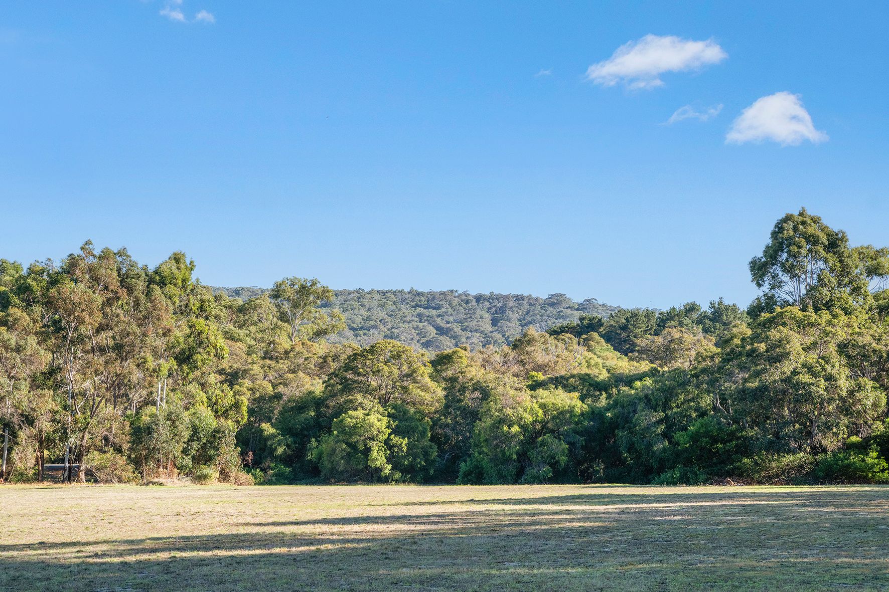 Lot PL2 93 Biddle Road, Quedjinup, WA 6281