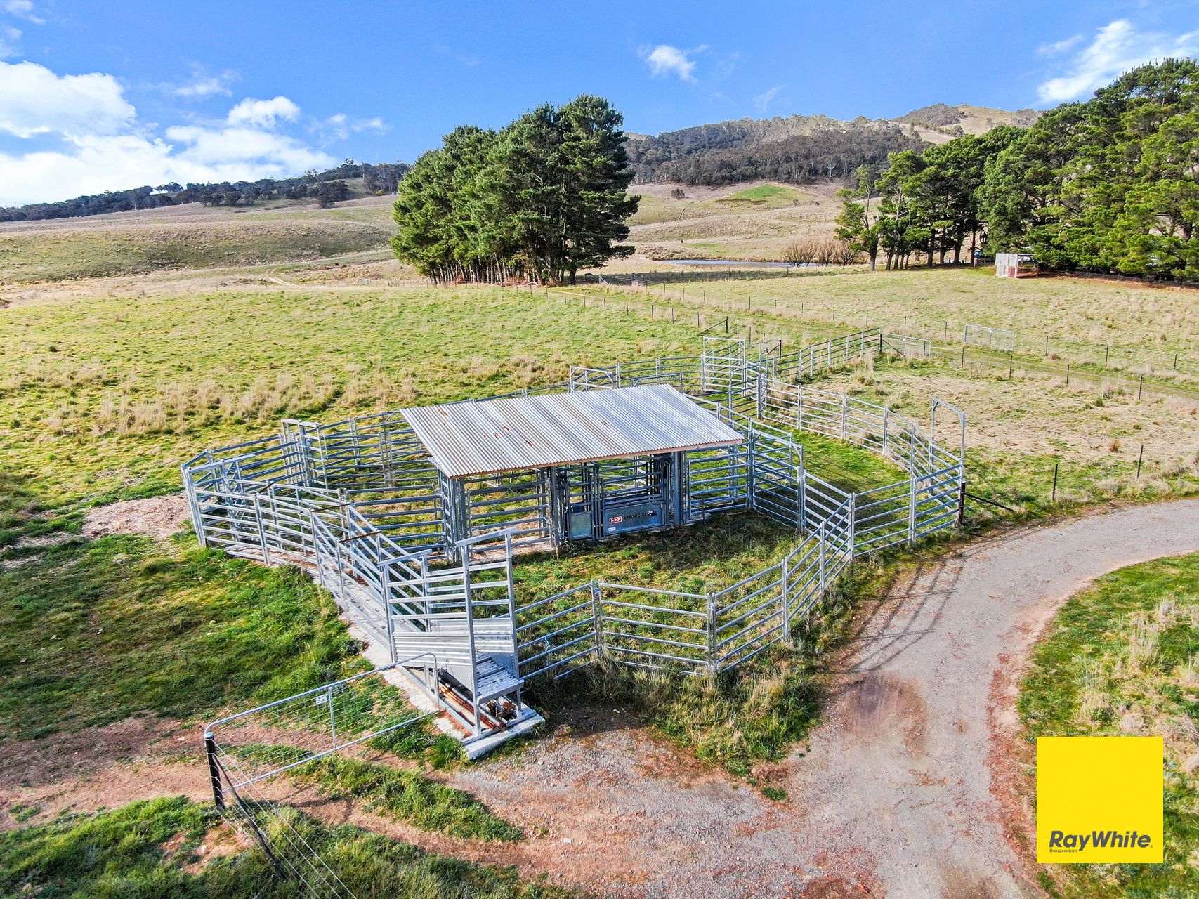 171 Willandra Lane, Tarago, NSW 2580 Land for Sale Ray White Bungendore