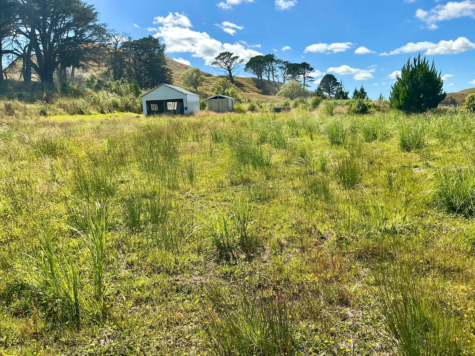 1391 Kaipara Hills Road photo 13