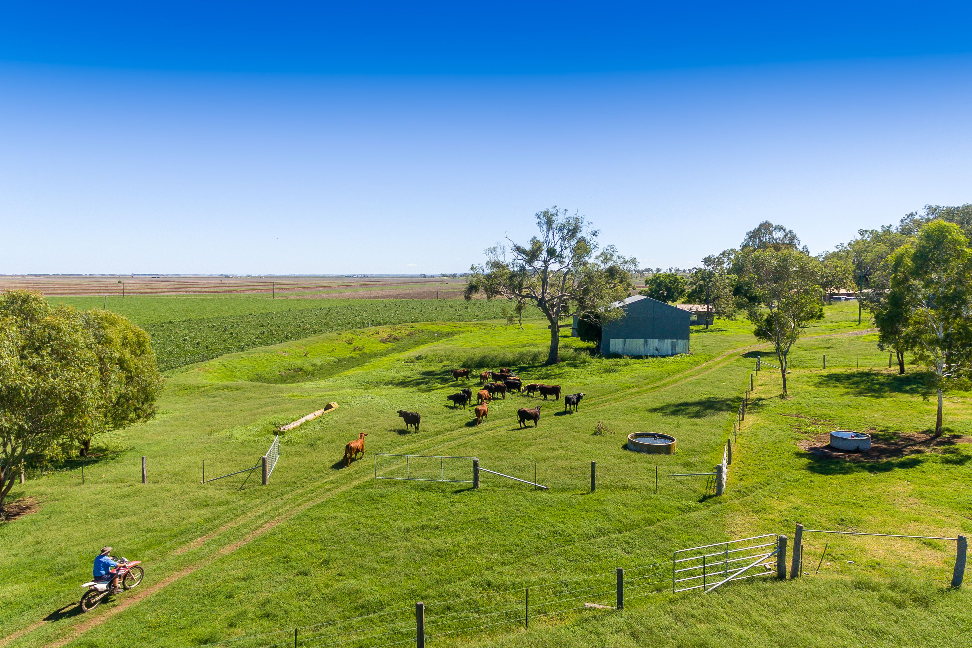 258 Motley Road, Mount Tyson, QLD 4356