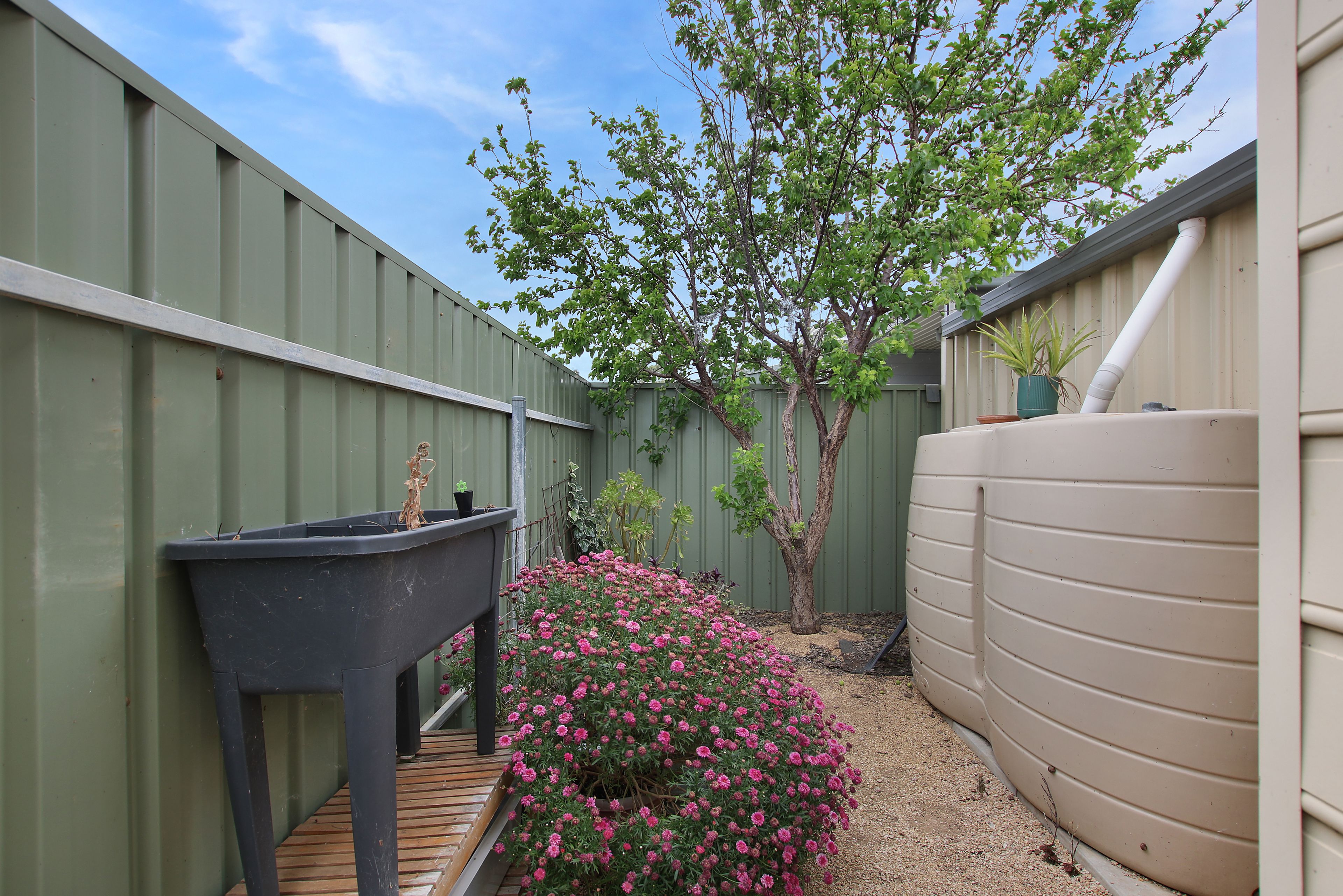 Unit 12/49 Peake Terrace — photo 18 of 24