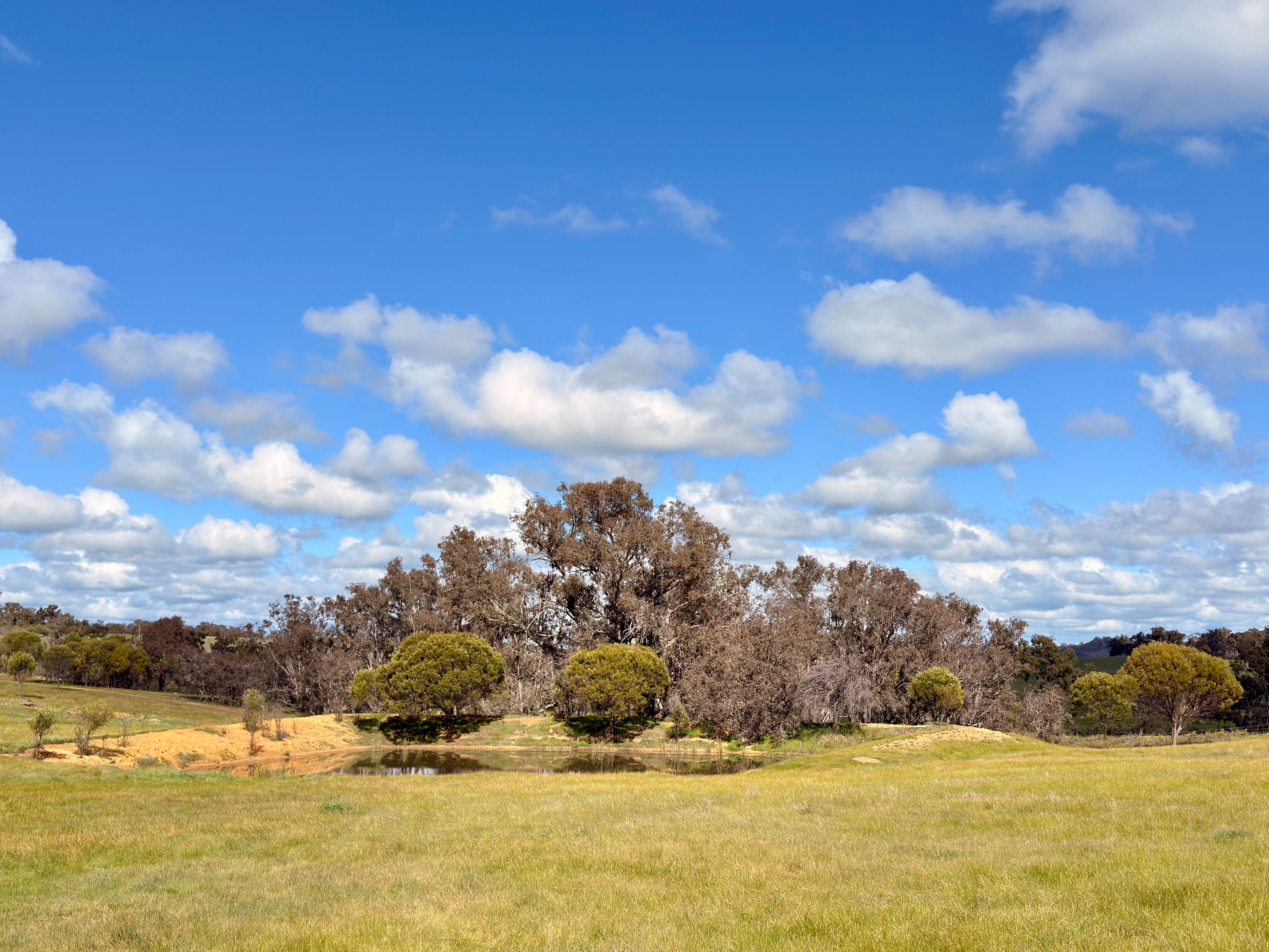 Lot 100 Area Road — photo 13 of 17