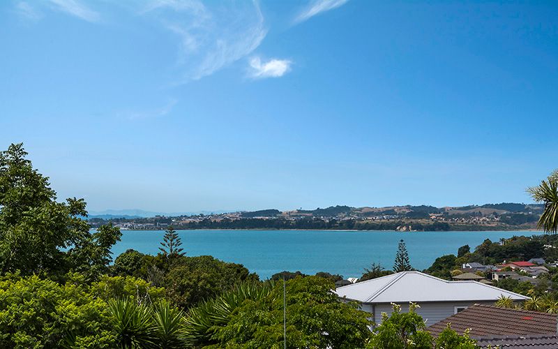 38 Alexander Street, Cockle Bay, Manukau City
