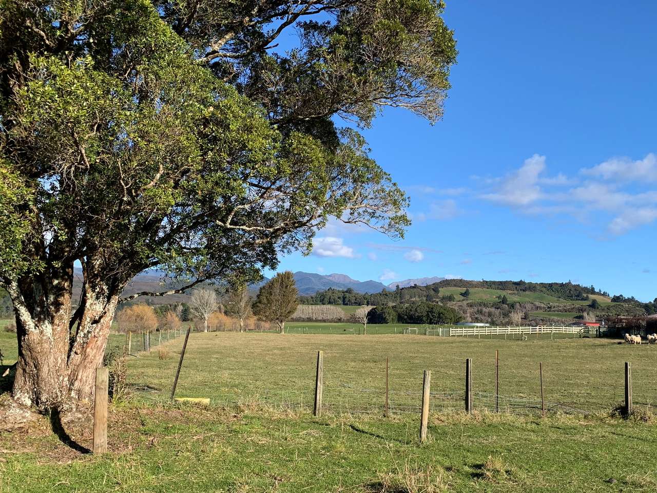 875 CollingwoodBainham Main Road, Rockville, Collingwood, Tasman