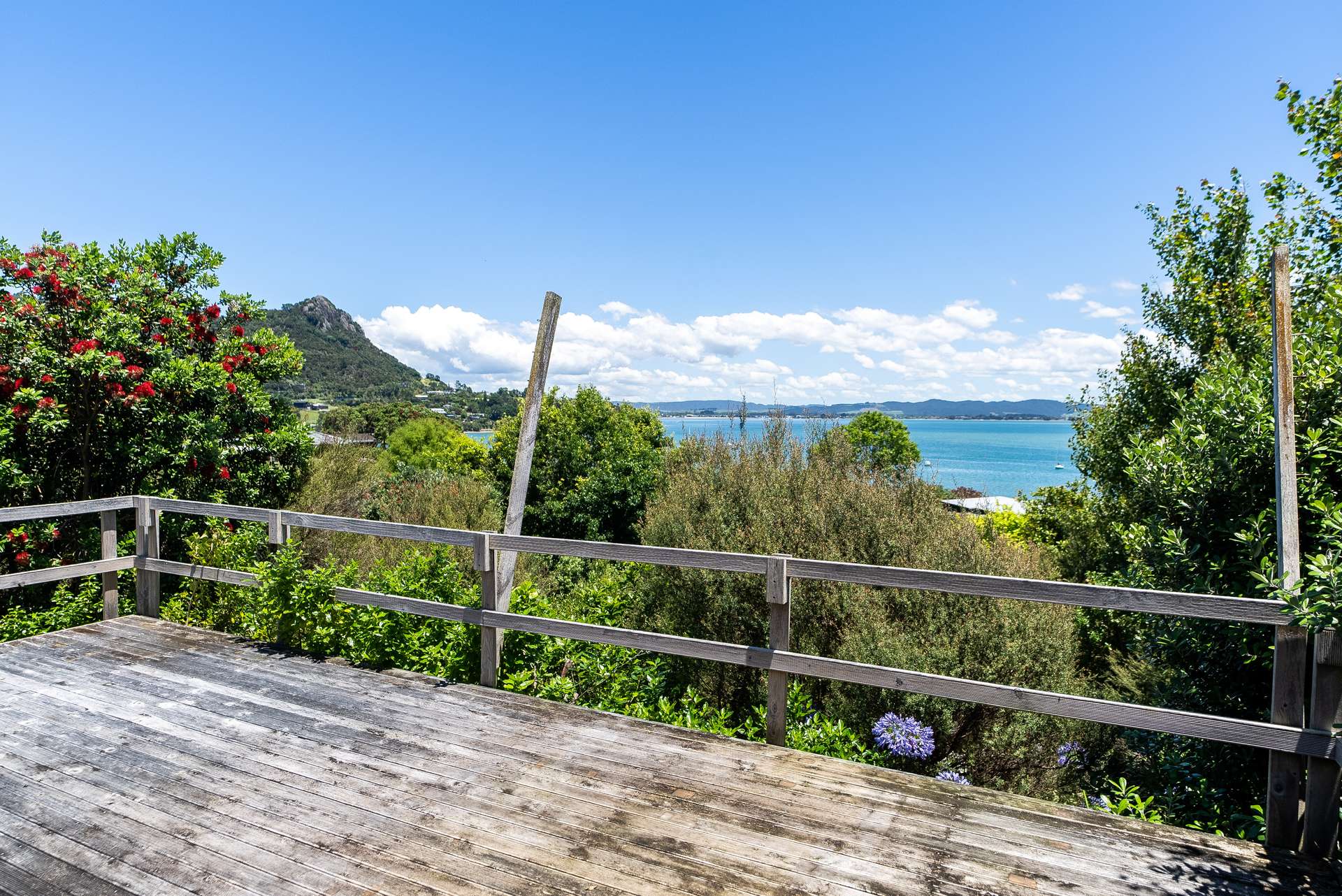 1981 Whangarei Heads Road photo 28