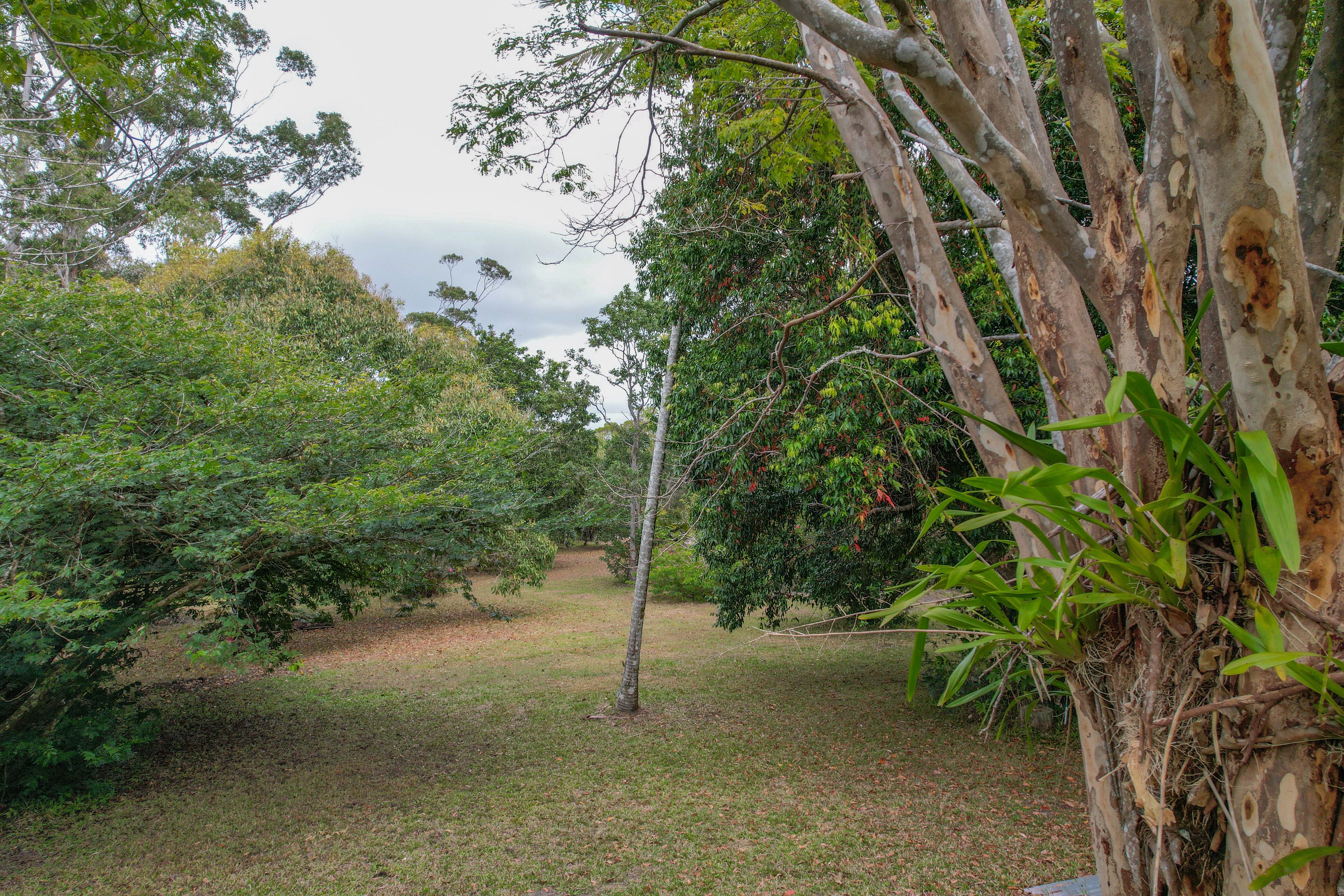 1325 Mount Fox Road — photo 20 of 30