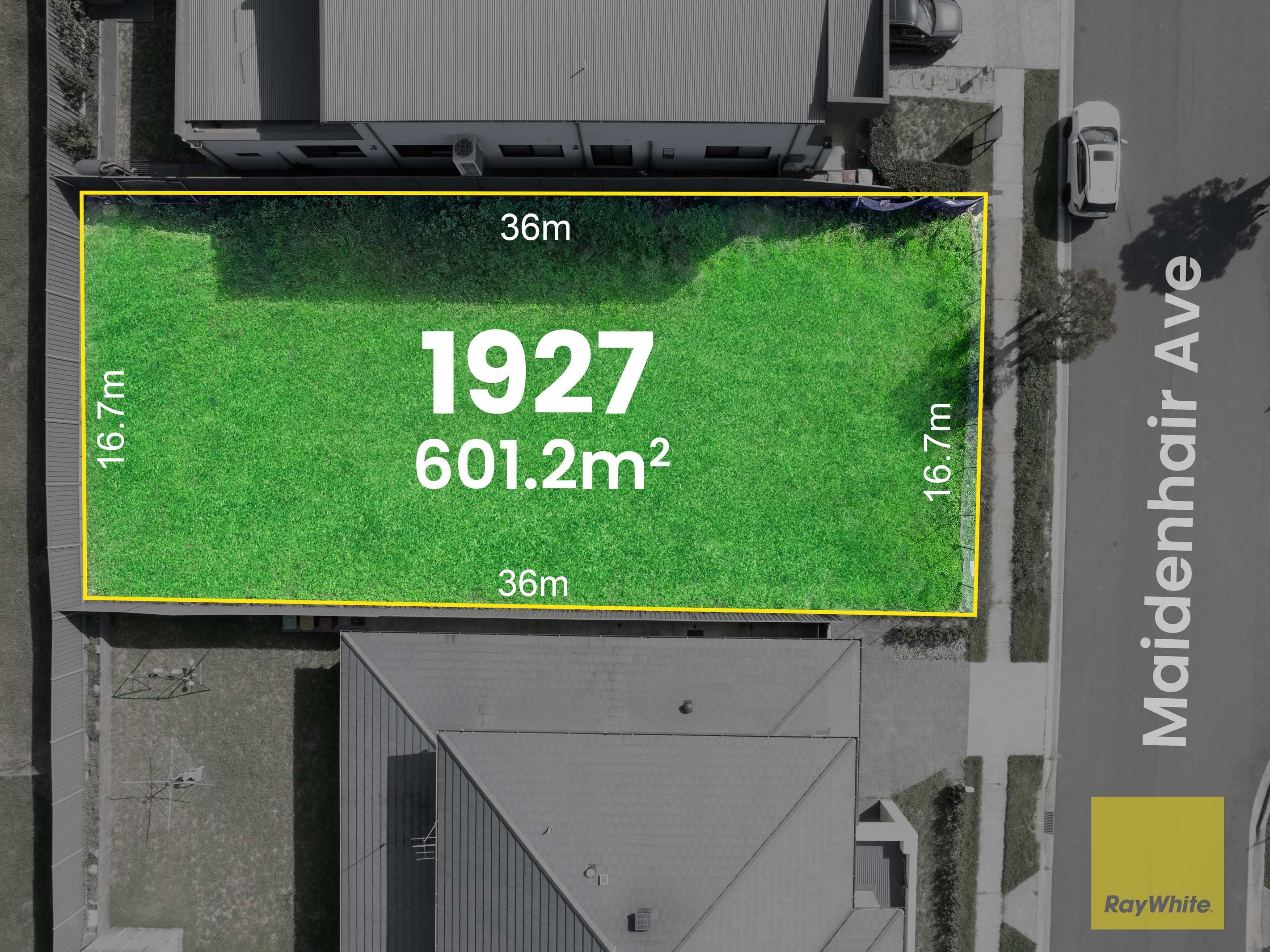 21 Maidenhair Avenue, Denham Court, NSW 2565