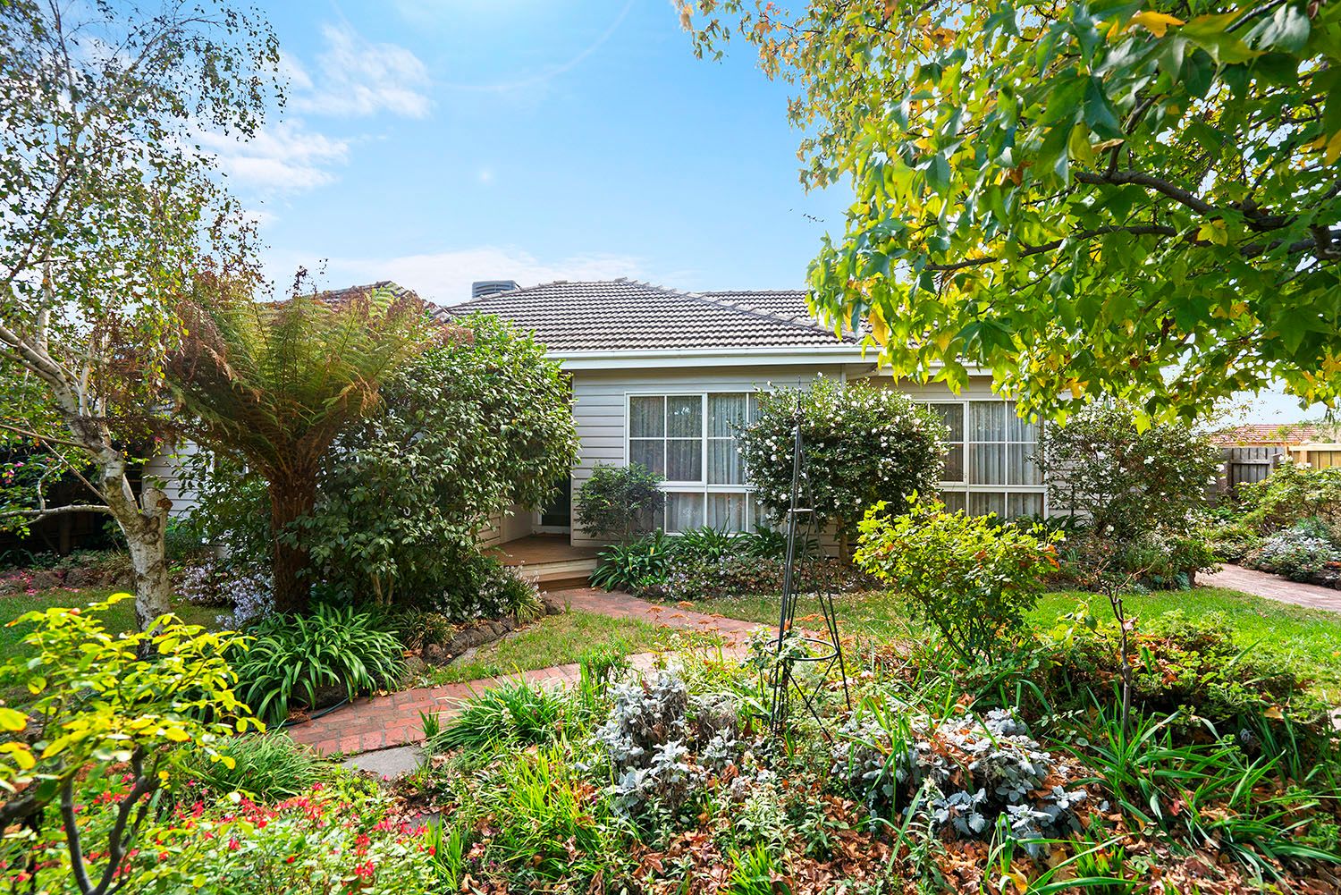 31 Voltri Street, Cheltenham, VIC 3192