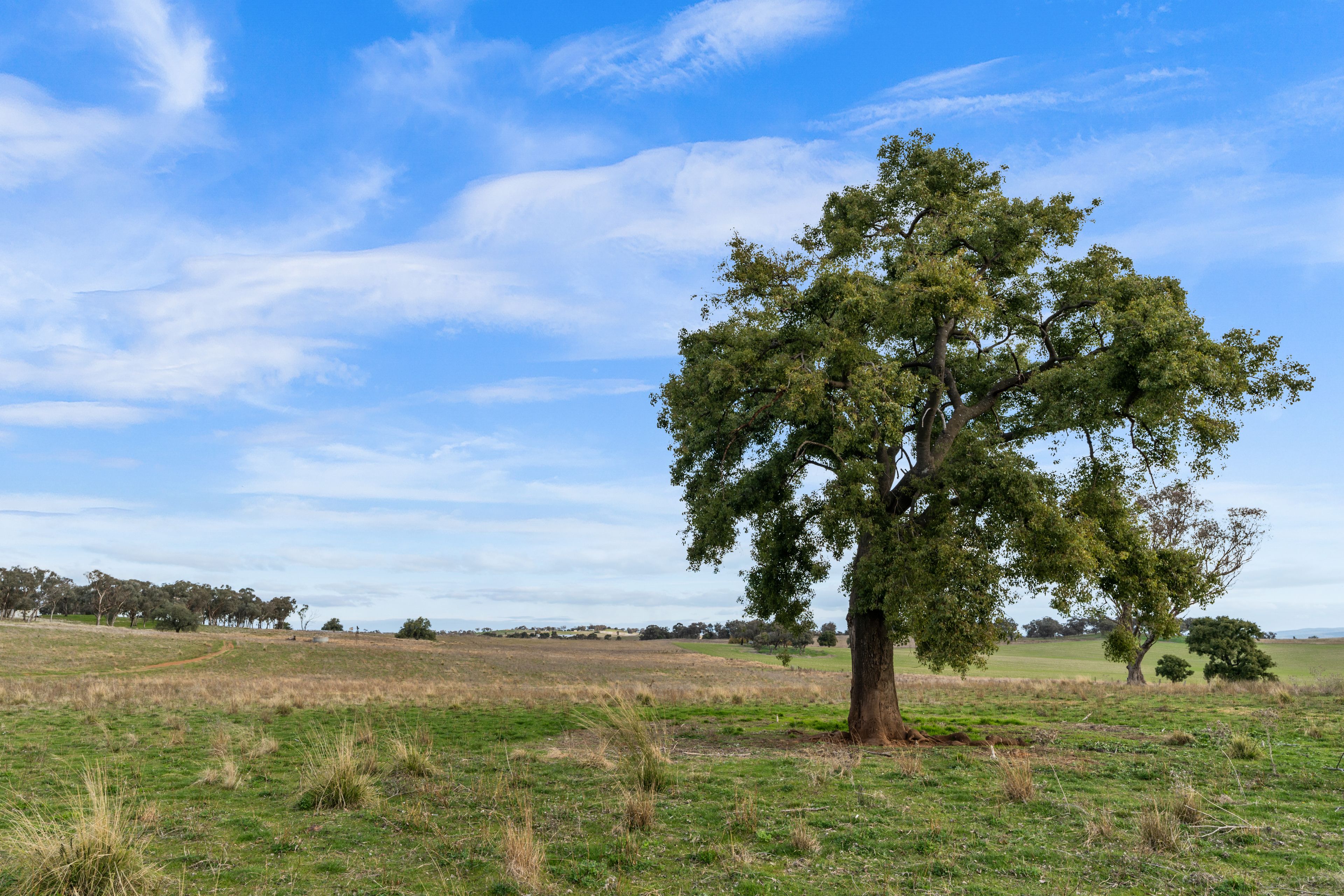 Henry Parkes Way, Manildra, NSW 2865 Sold Rural Lifestyle Property