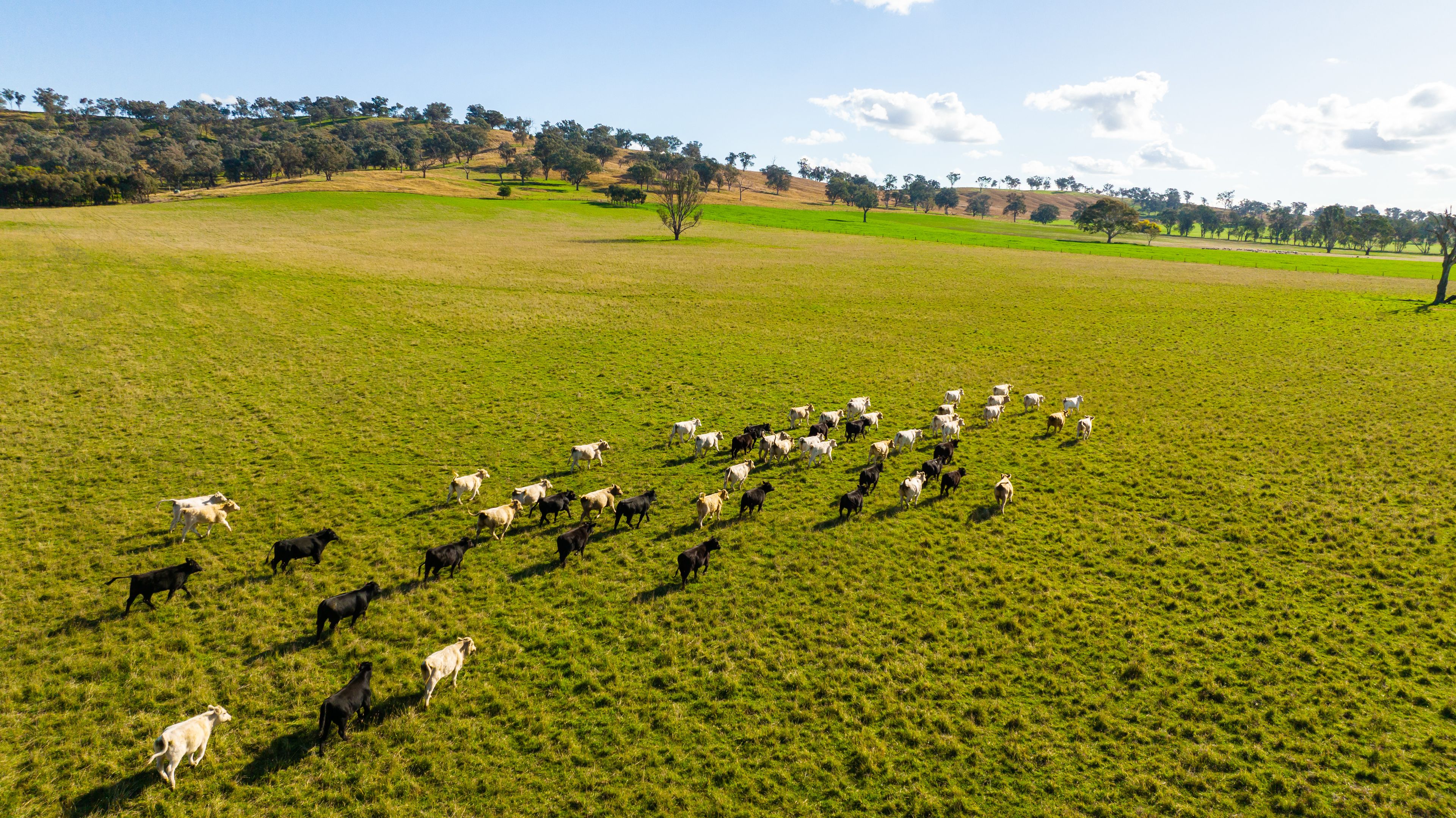 Part Granite Hill, Jindera, NSW 2642 Rural Property for Sale Rural