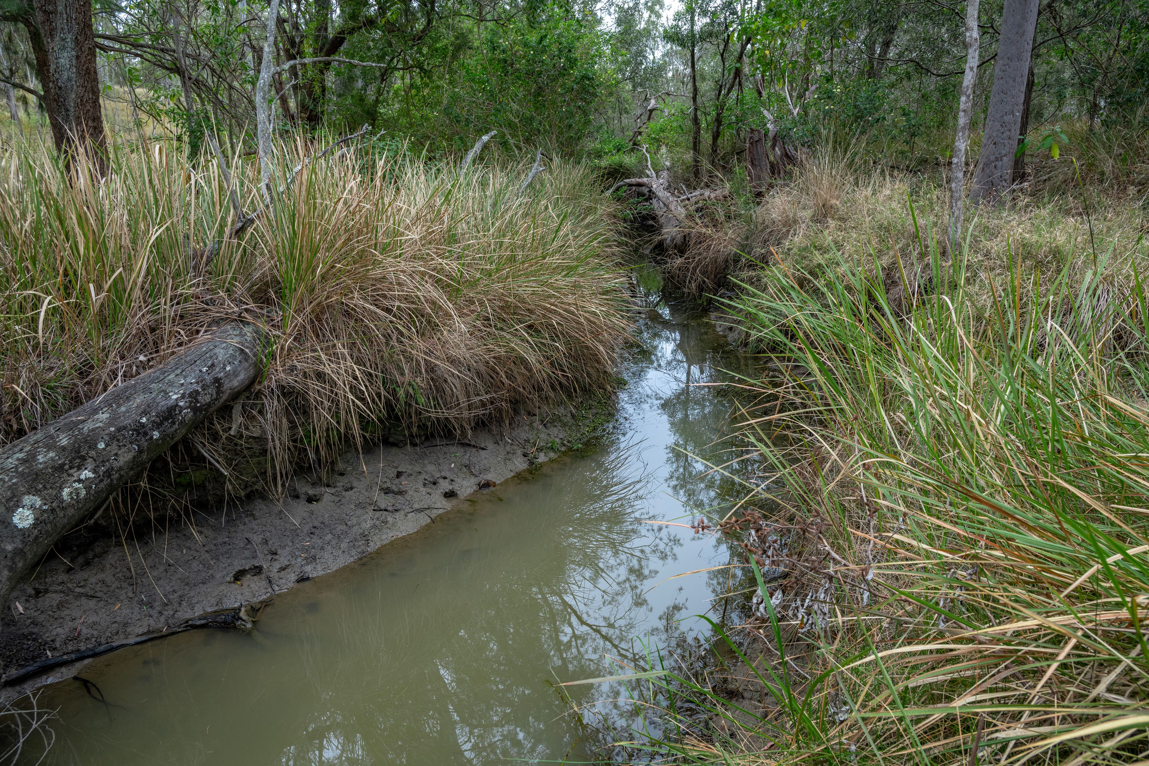 0 Cunningham Highway — photo 7 of 22