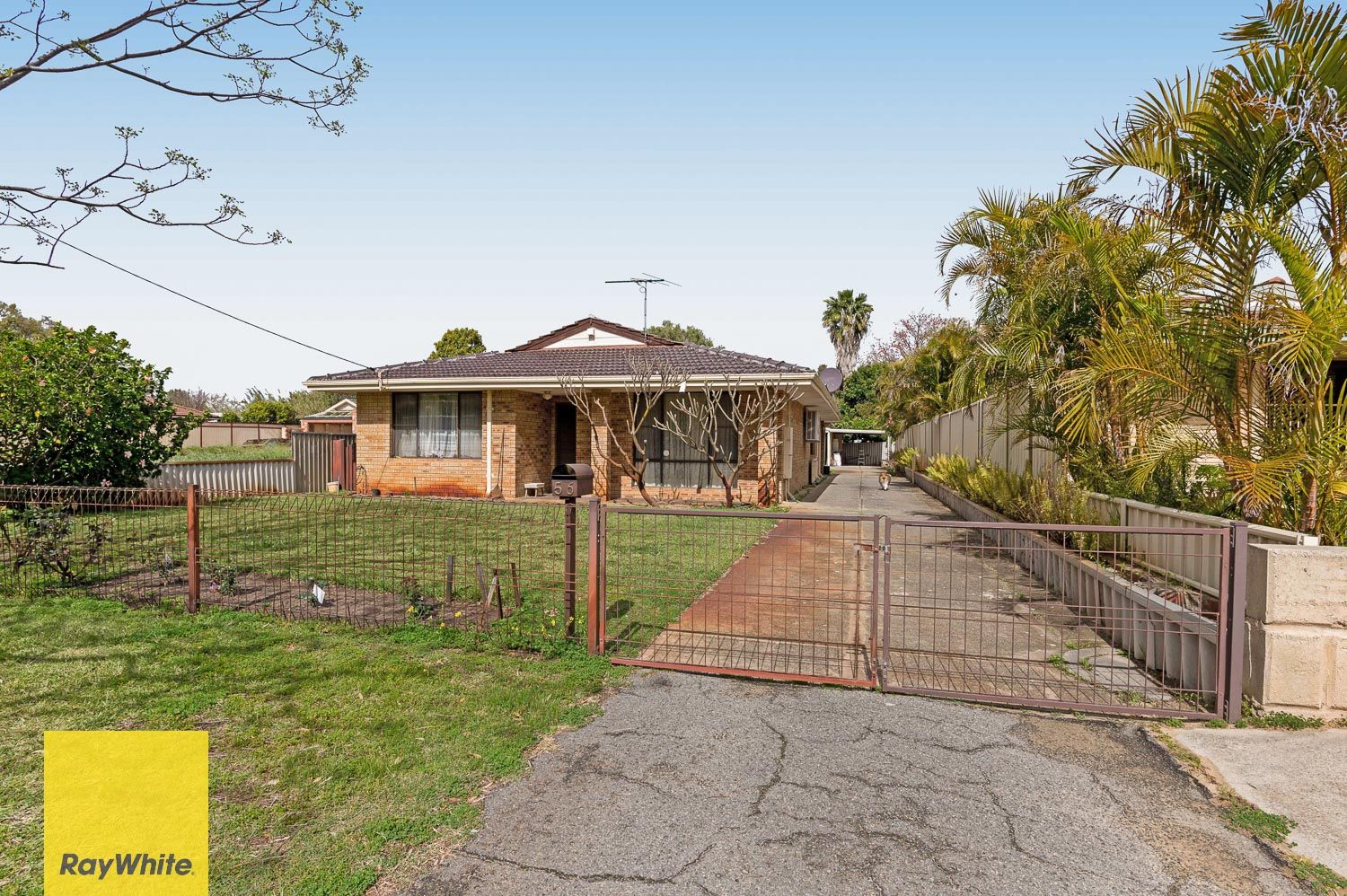 56 Bulong Avenue, Ascot, WA 6104