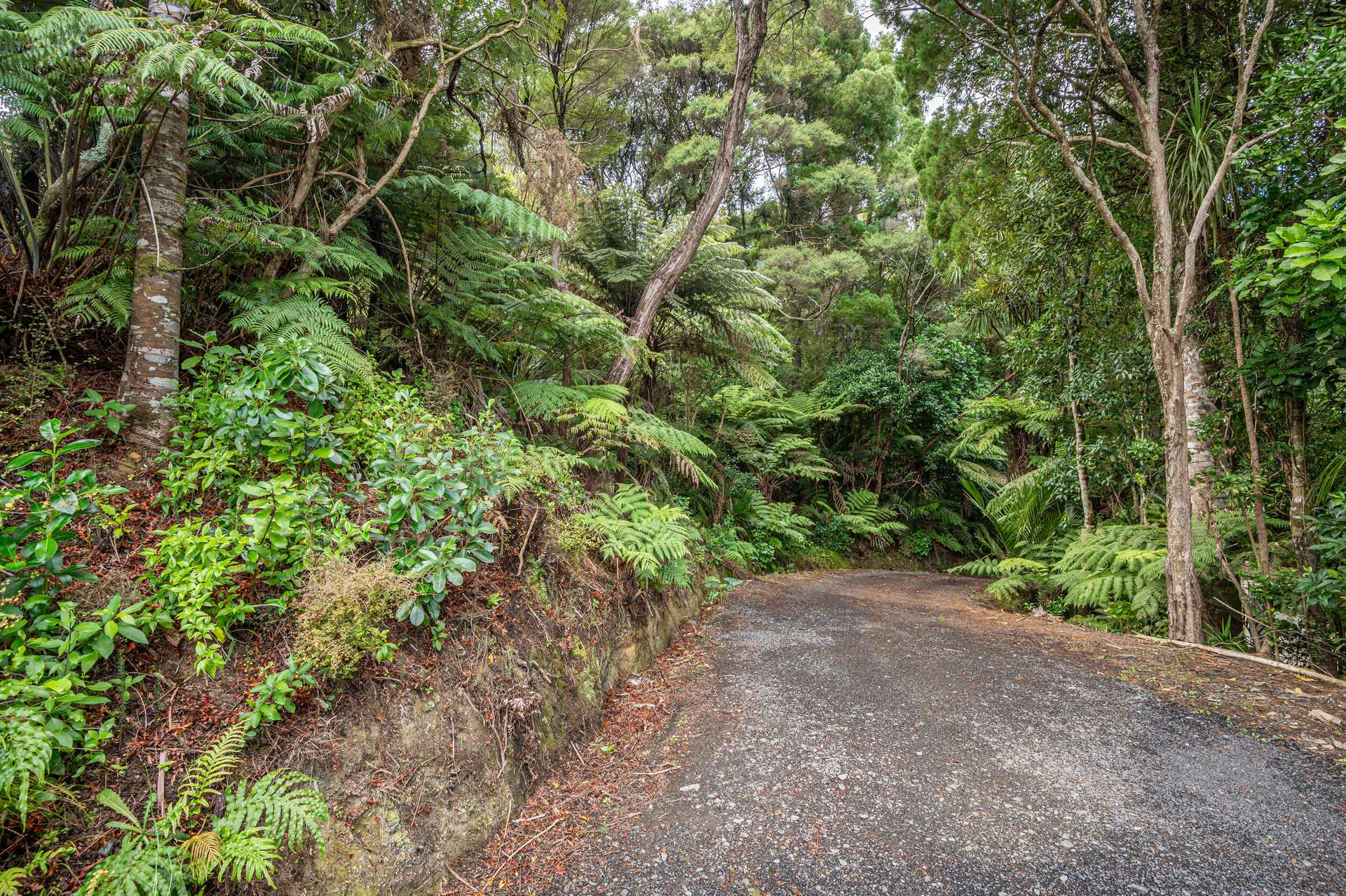 1196 Huia Road photo 44