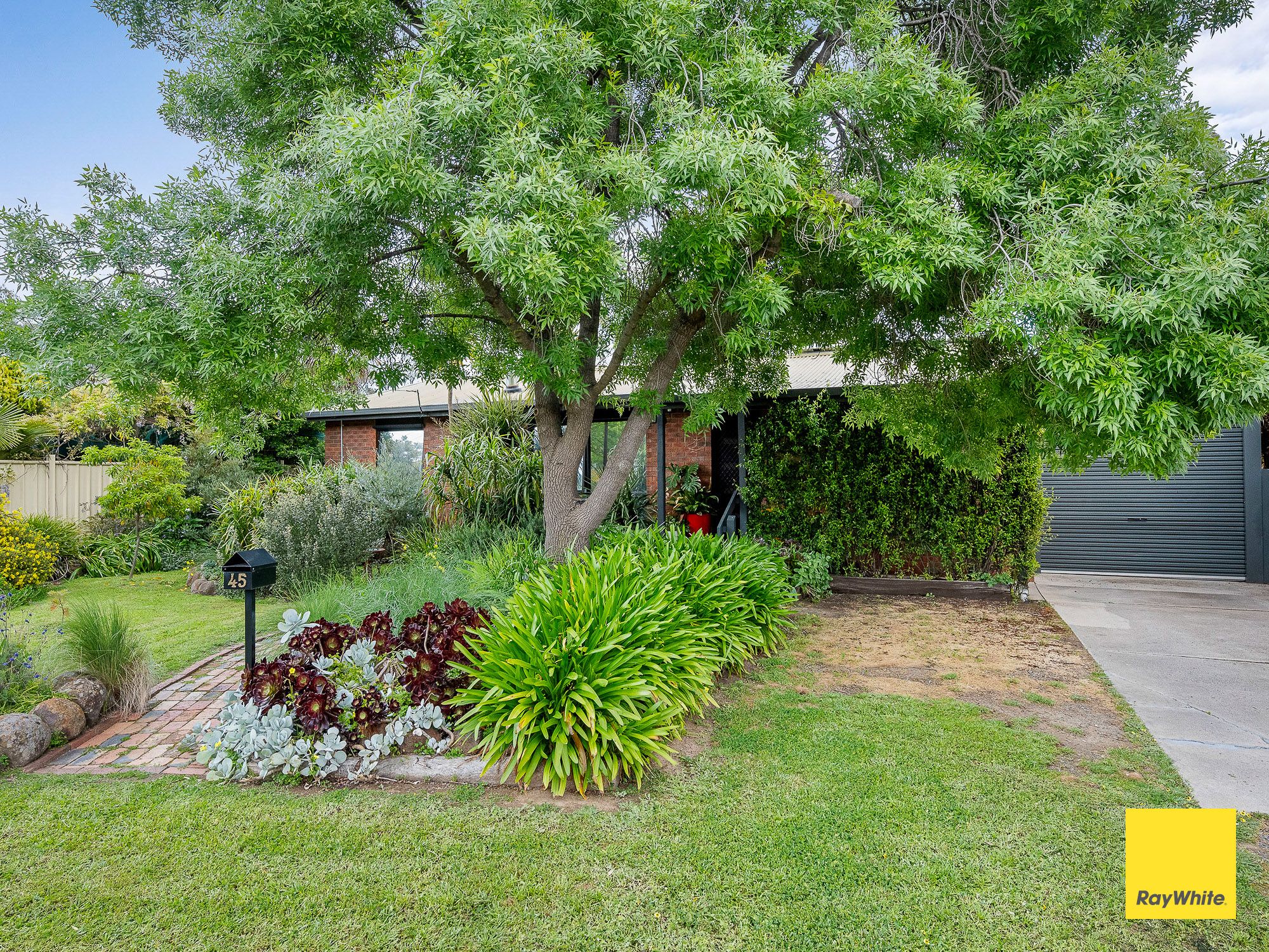 45 Neil Street — photo from Ray White Bendigo
