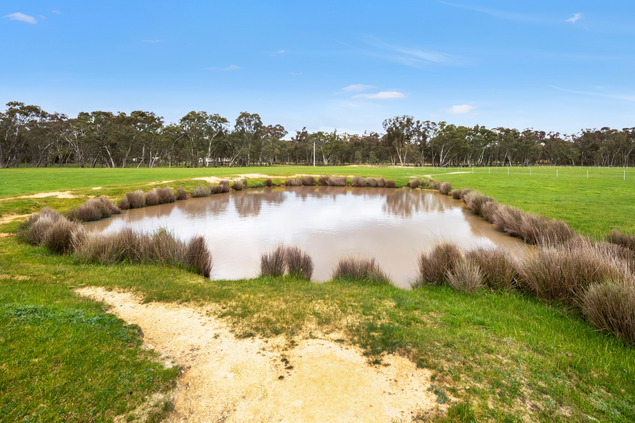 10 Blacksmith Gully Road, Daisy Hill, VIC 3465