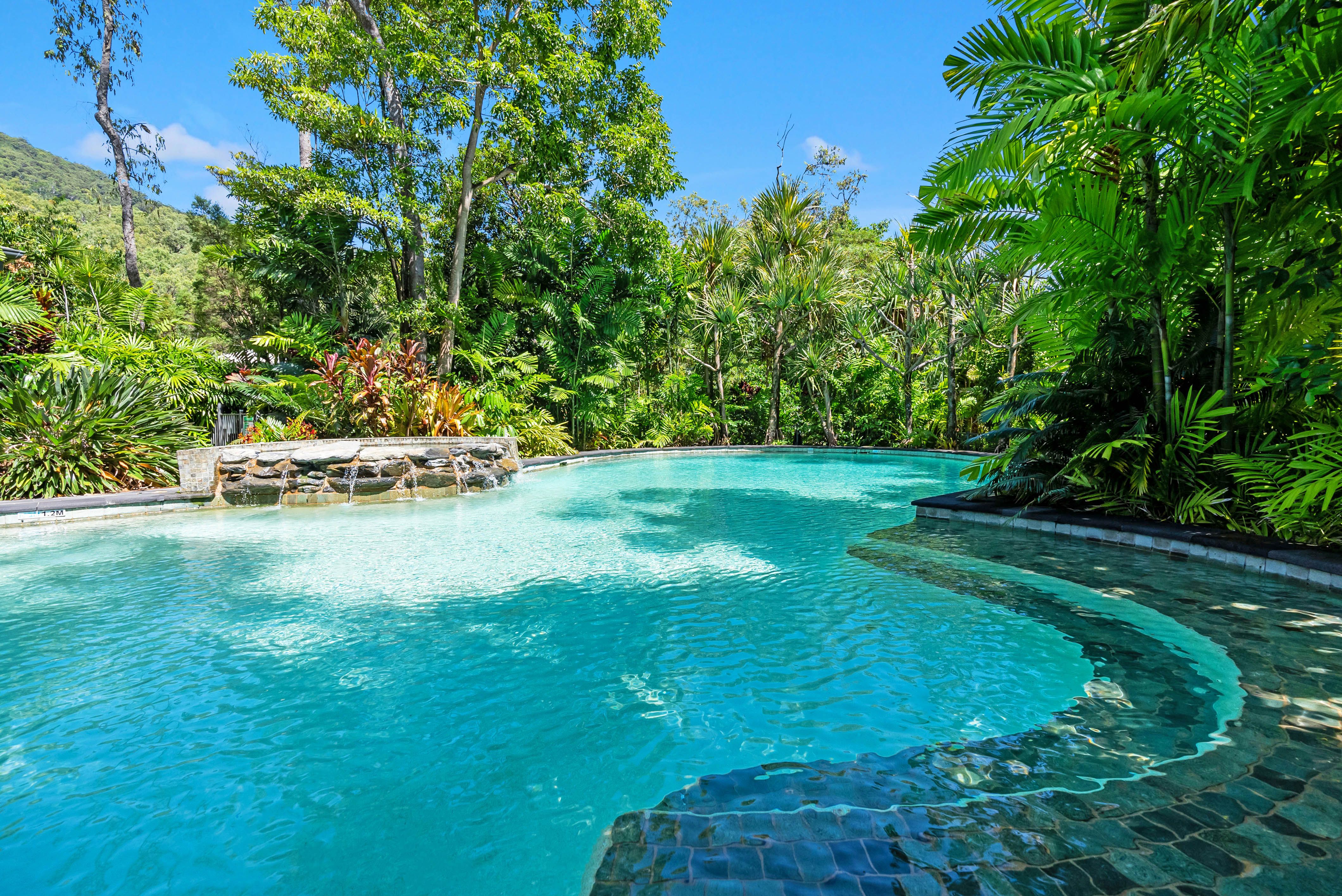 1/168174 Moore Road, Kewarra Beach, QLD 4879 Sold Unit Ray White