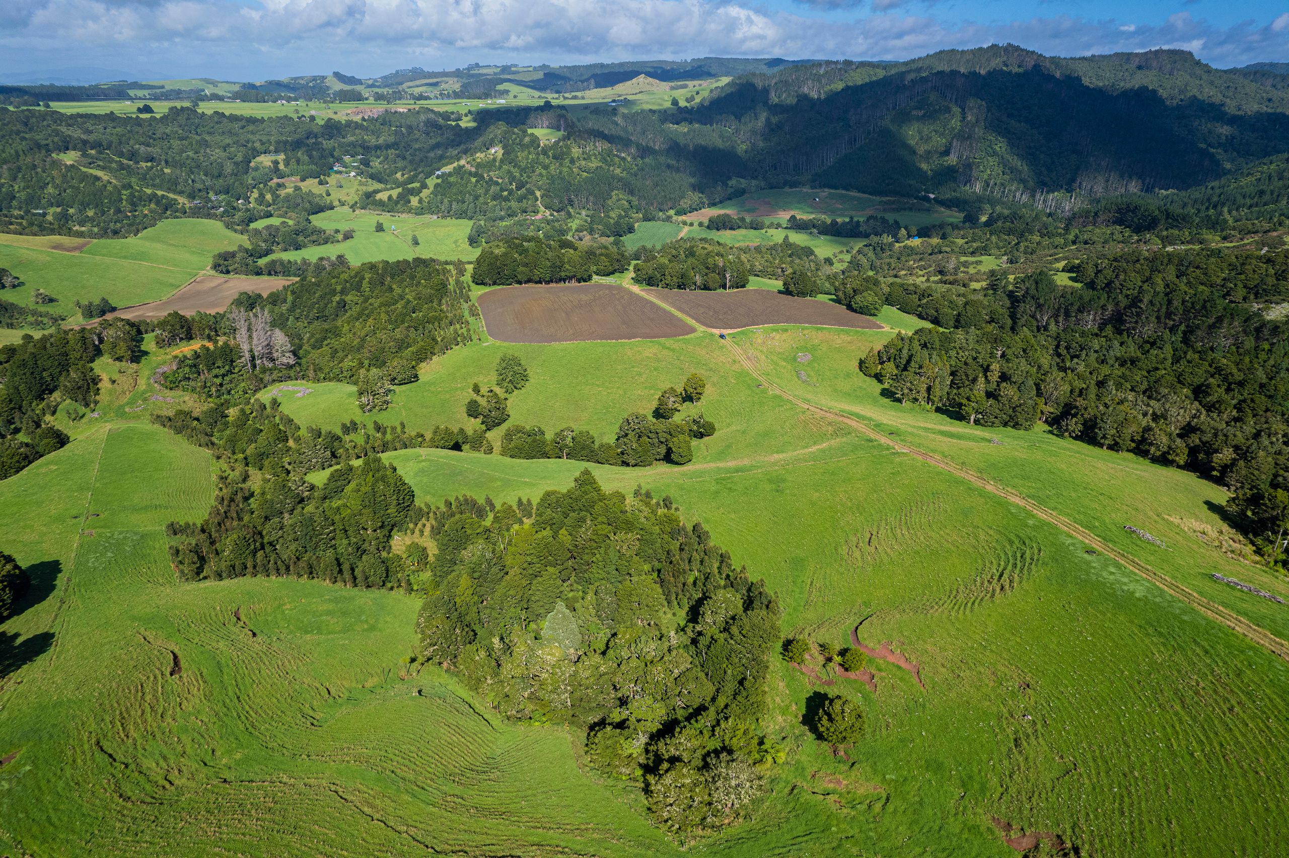 81 ha Peach Orchard Road, Whakapara, Whangarei District