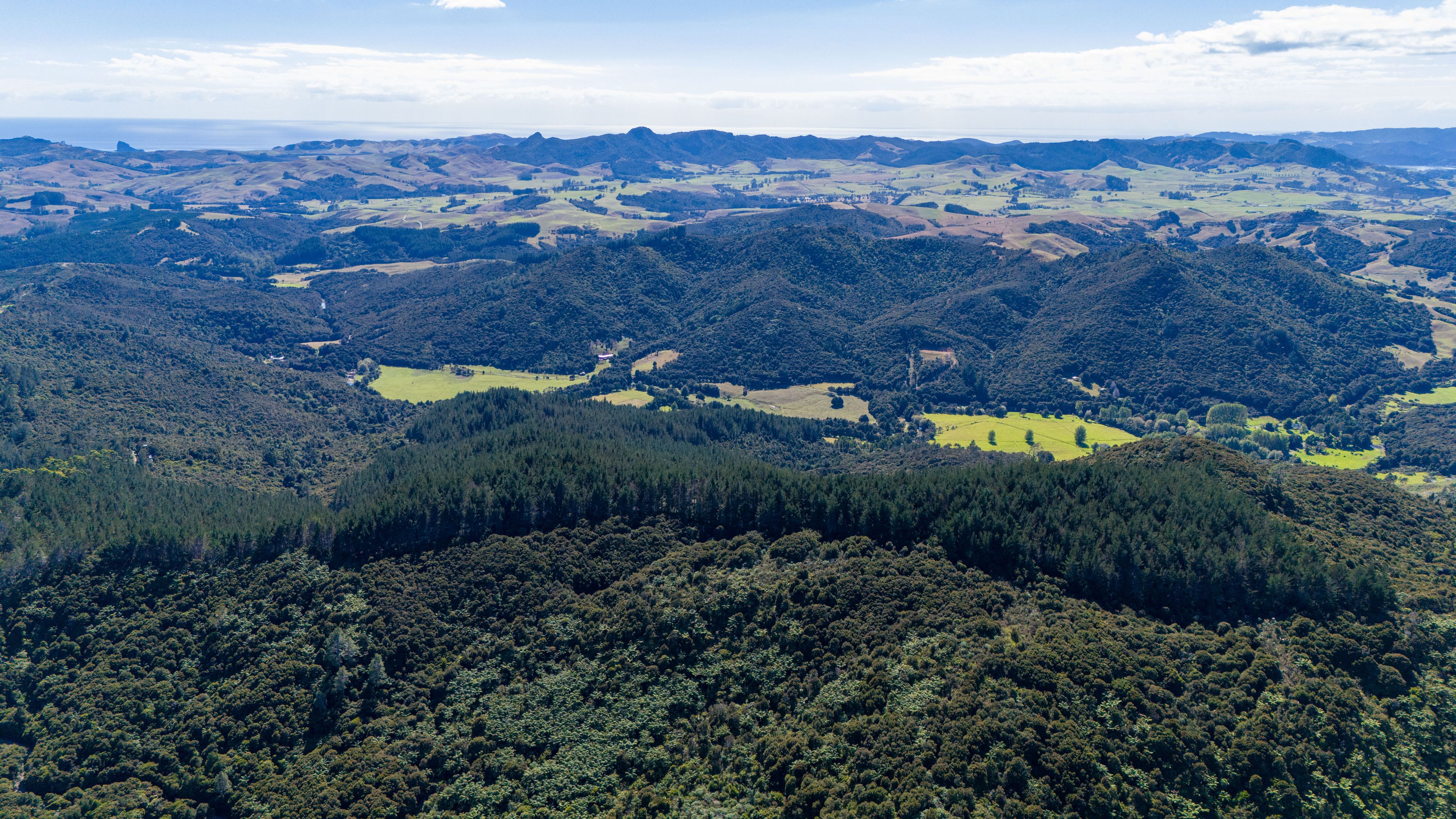 Lot 2 Goshen Valley Road, Mangonui, Far North District 0420 Lifestyle