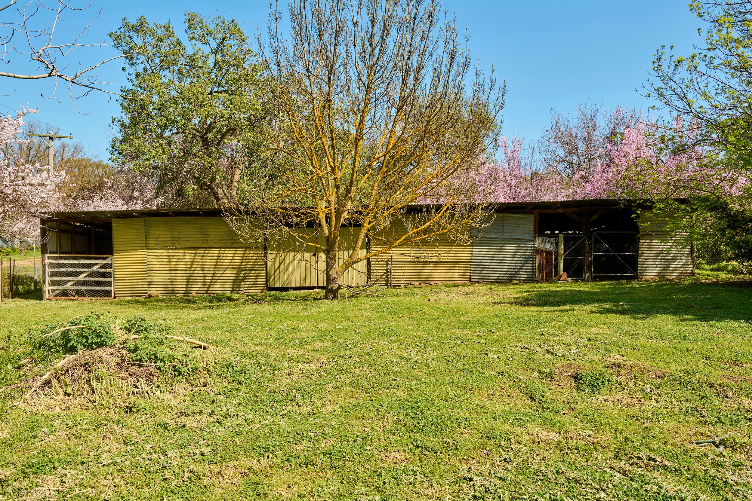 2 Caldwell Street — photo 21 of 30